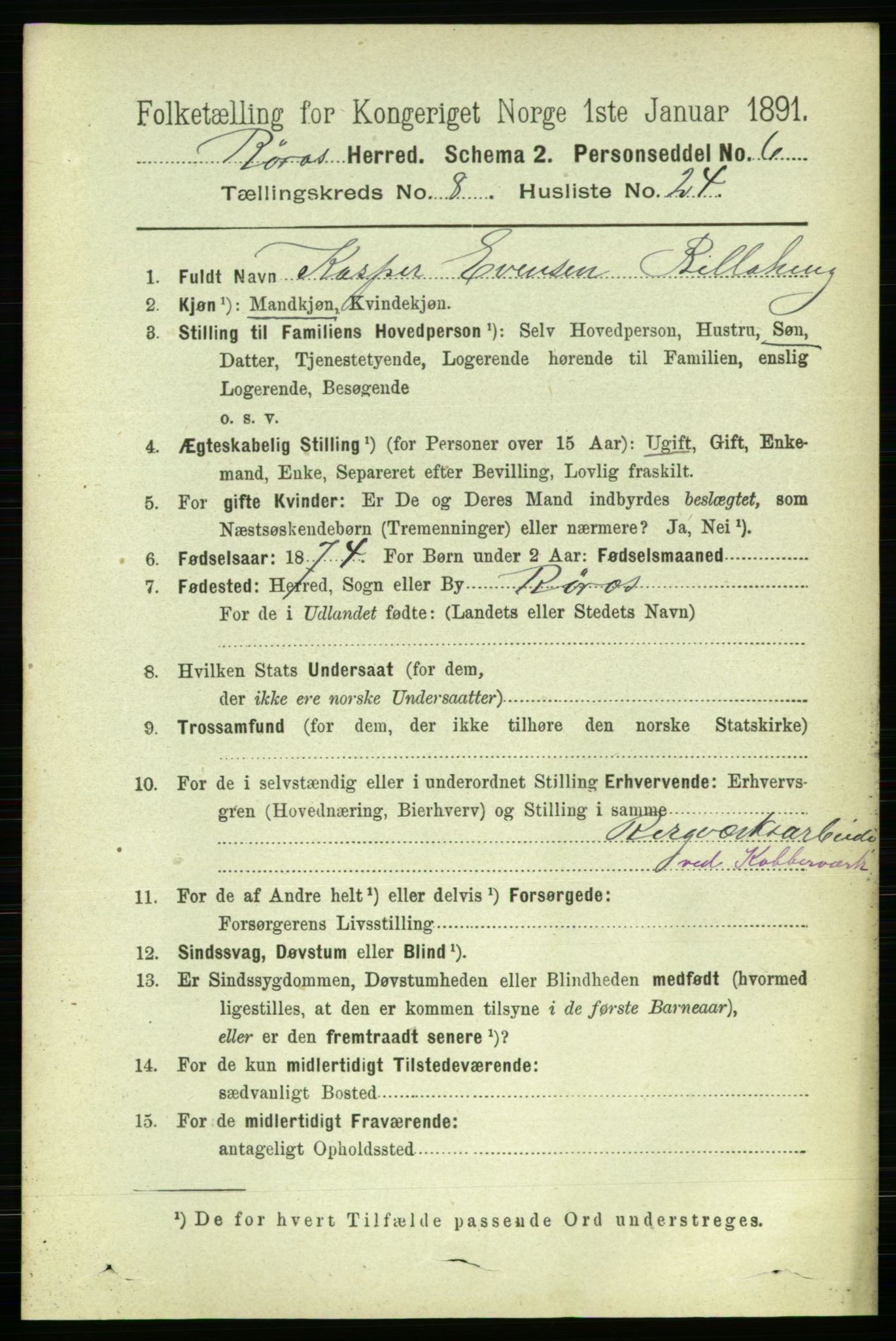 RA, 1891 census for 1640 Røros, 1891, p. 1777