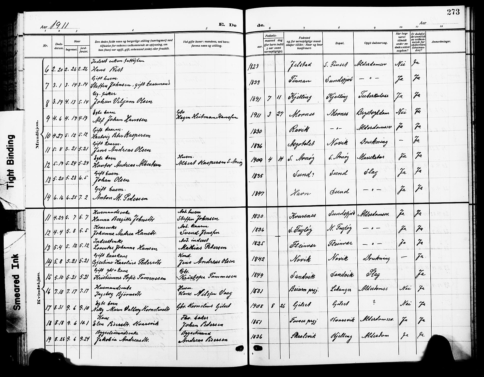 Ministerialprotokoller, klokkerbøker og fødselsregistre - Nordland, AV/SAT-A-1459/805/L0110: Parish register (copy) no. 805C06, 1909-1924, p. 273