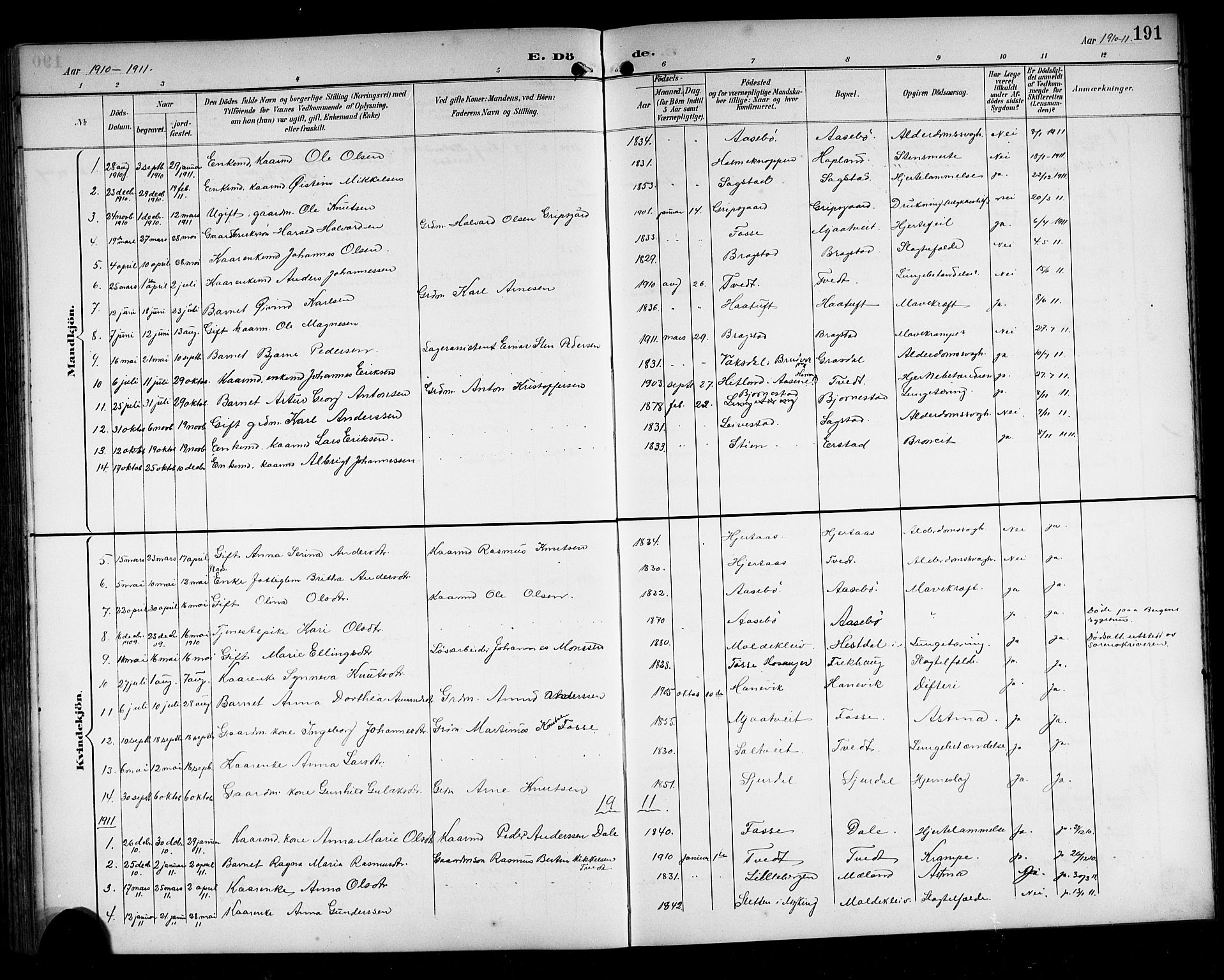 Alversund Sokneprestembete, SAB/A-73901/H/Ha/Hab: Parish register (copy) no. C 4, 1894-1924, p. 191