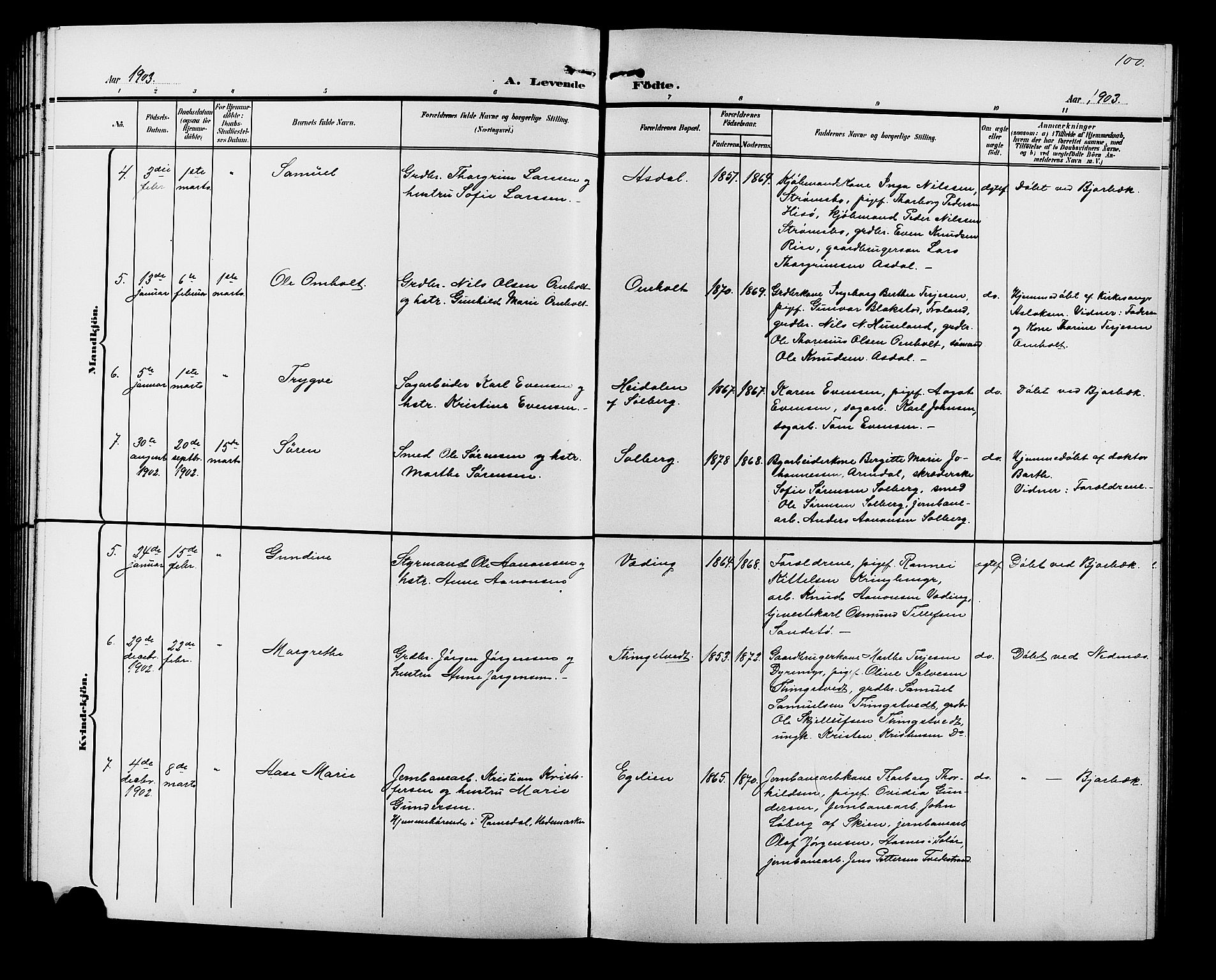 Øyestad sokneprestkontor, AV/SAK-1111-0049/F/Fb/L0010: Parish register (copy) no. B 10, 1897-1906, p. 100