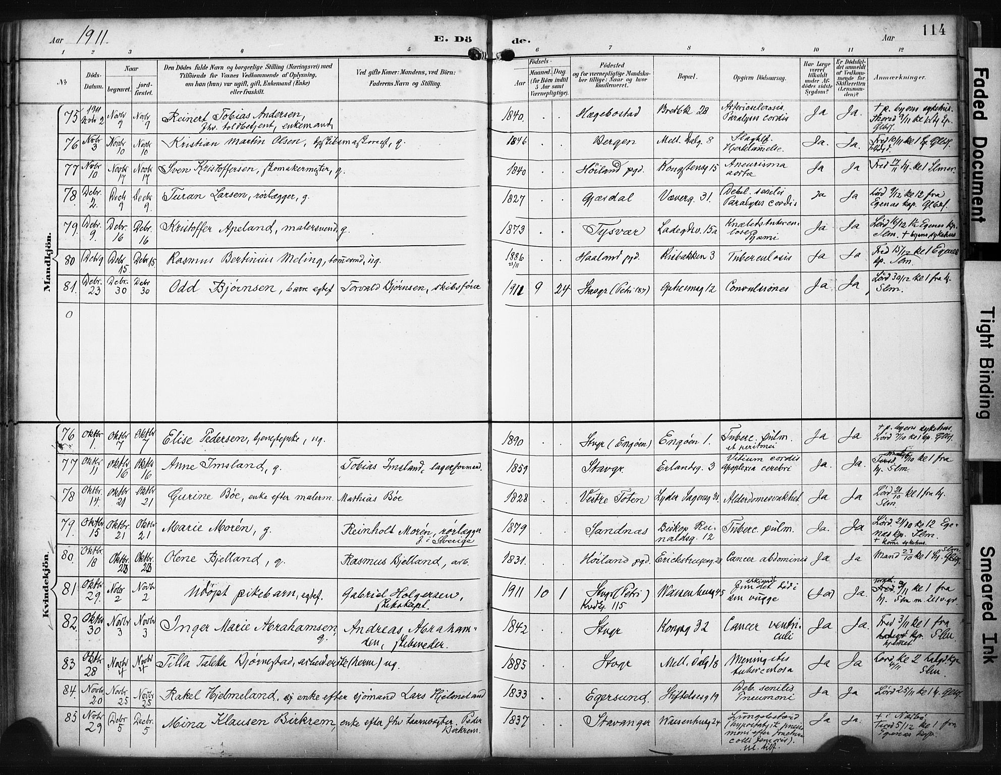 St. Petri sokneprestkontor, AV/SAST-A-101813/001/30/30BA/L0022: Parish register (official) no. A 22, 1895-1919, p. 114