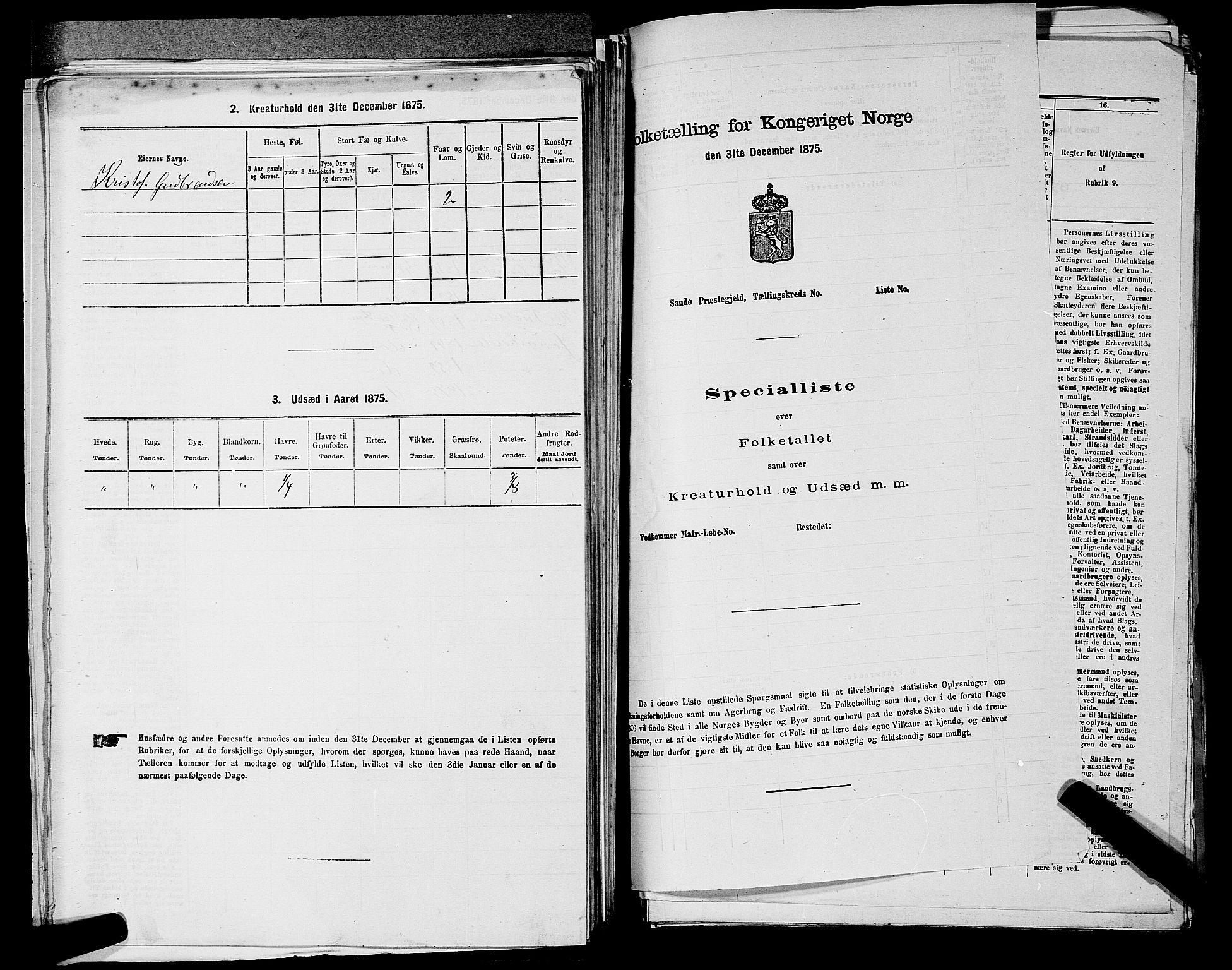 RA, 1875 census for 0238P Nannestad, 1875, p. 871