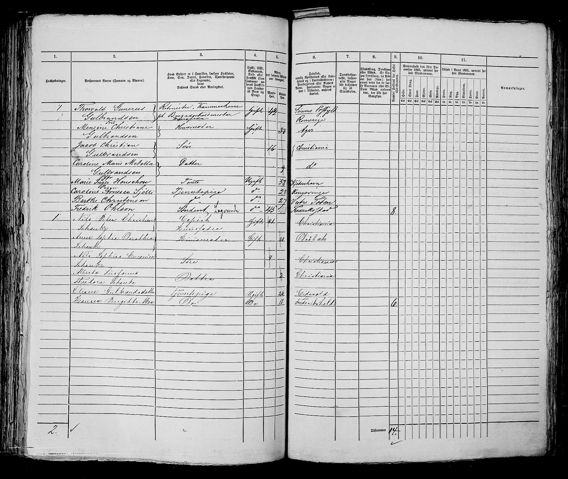 RA, 1865 census for Kristiania, 1865, p. 2490