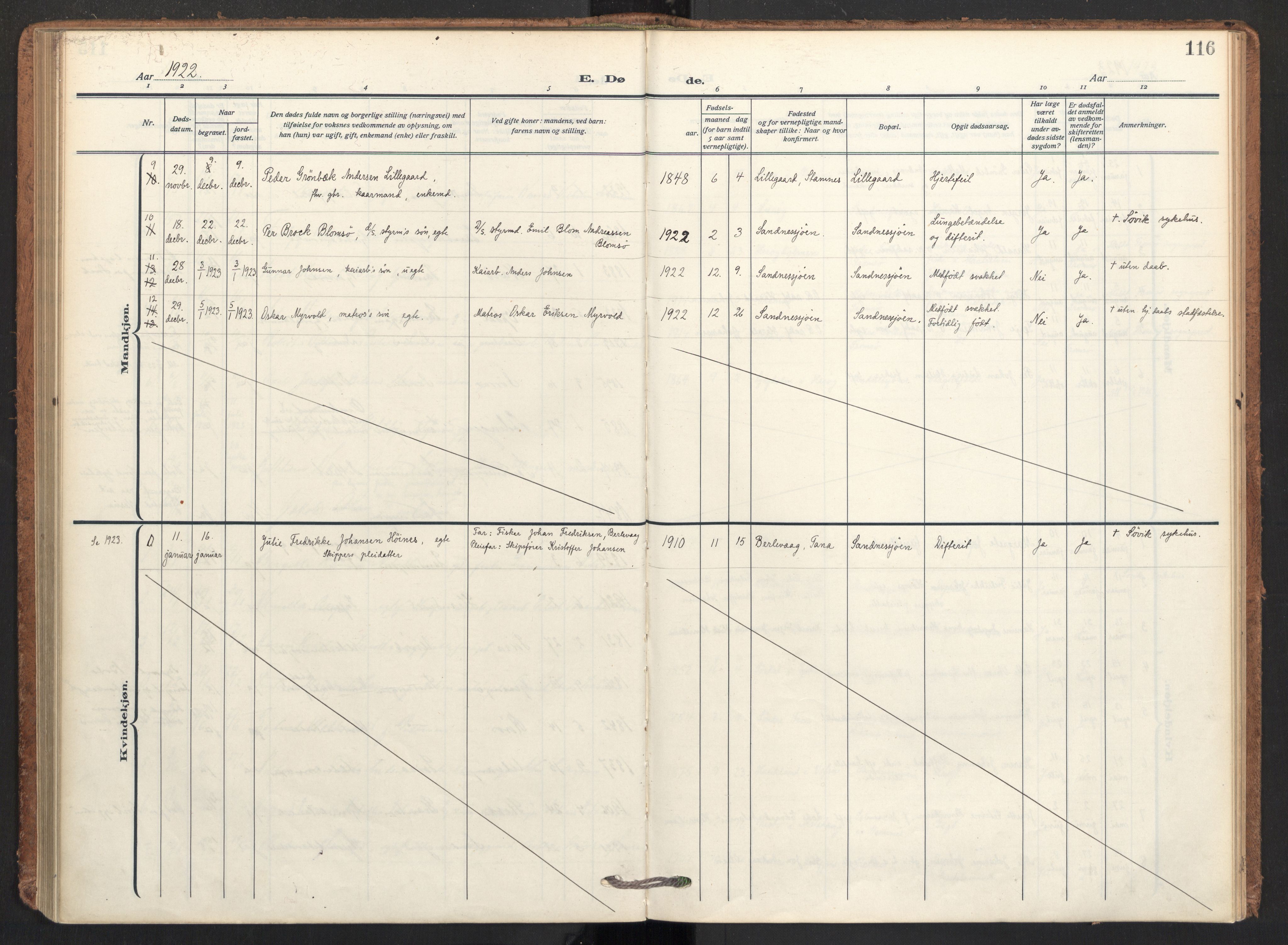 Ministerialprotokoller, klokkerbøker og fødselsregistre - Nordland, AV/SAT-A-1459/831/L0473: Parish register (official) no. 831A04, 1909-1934, p. 116