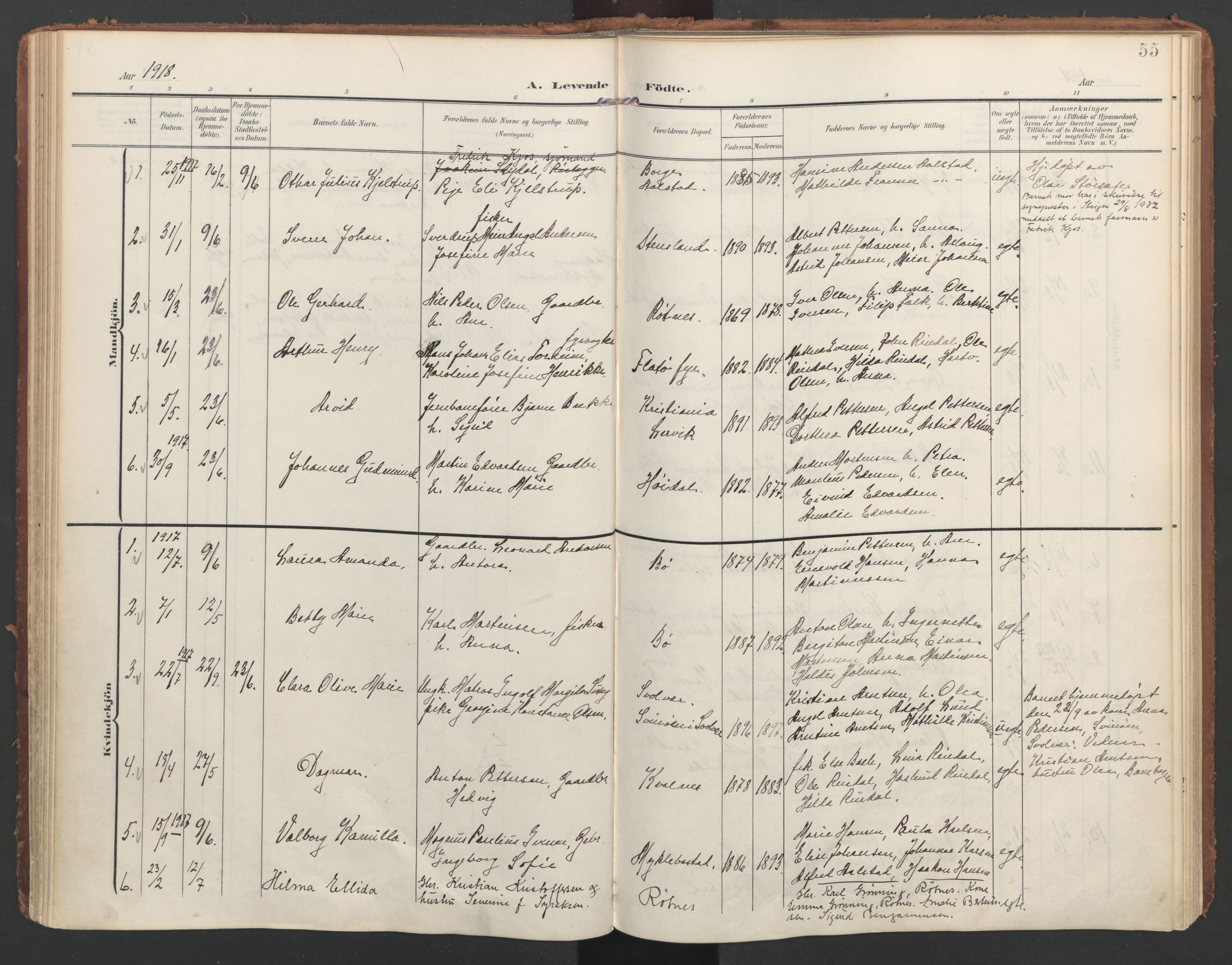 Ministerialprotokoller, klokkerbøker og fødselsregistre - Nordland, AV/SAT-A-1459/855/L0805: Parish register (official) no. 855A13, 1906-1920, p. 55