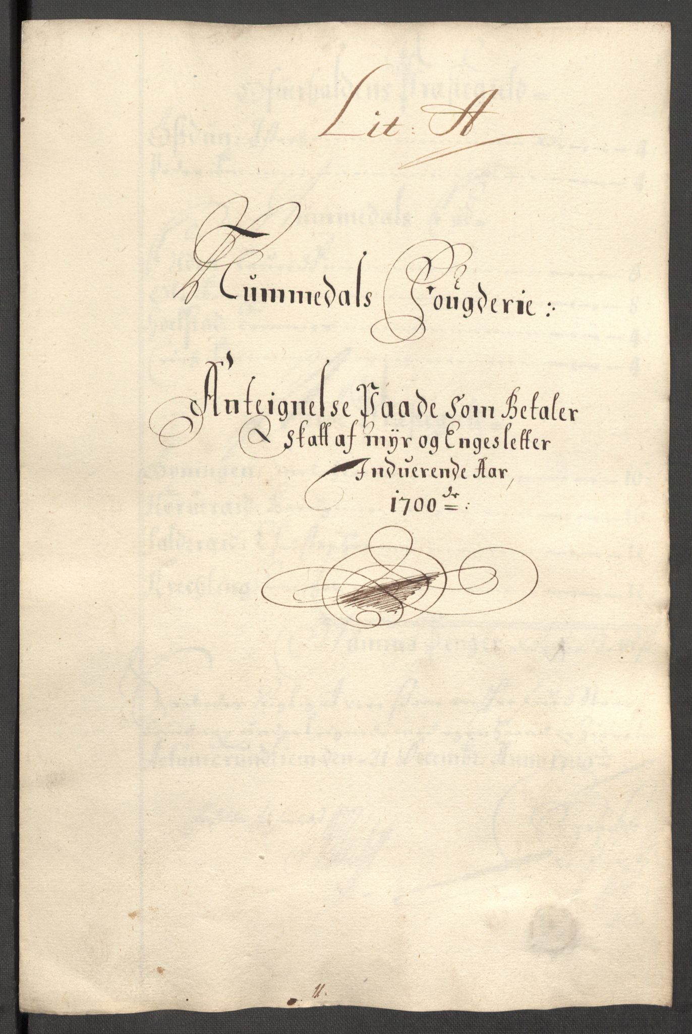 Rentekammeret inntil 1814, Reviderte regnskaper, Fogderegnskap, RA/EA-4092/R64/L4426: Fogderegnskap Namdal, 1699-1700, p. 223