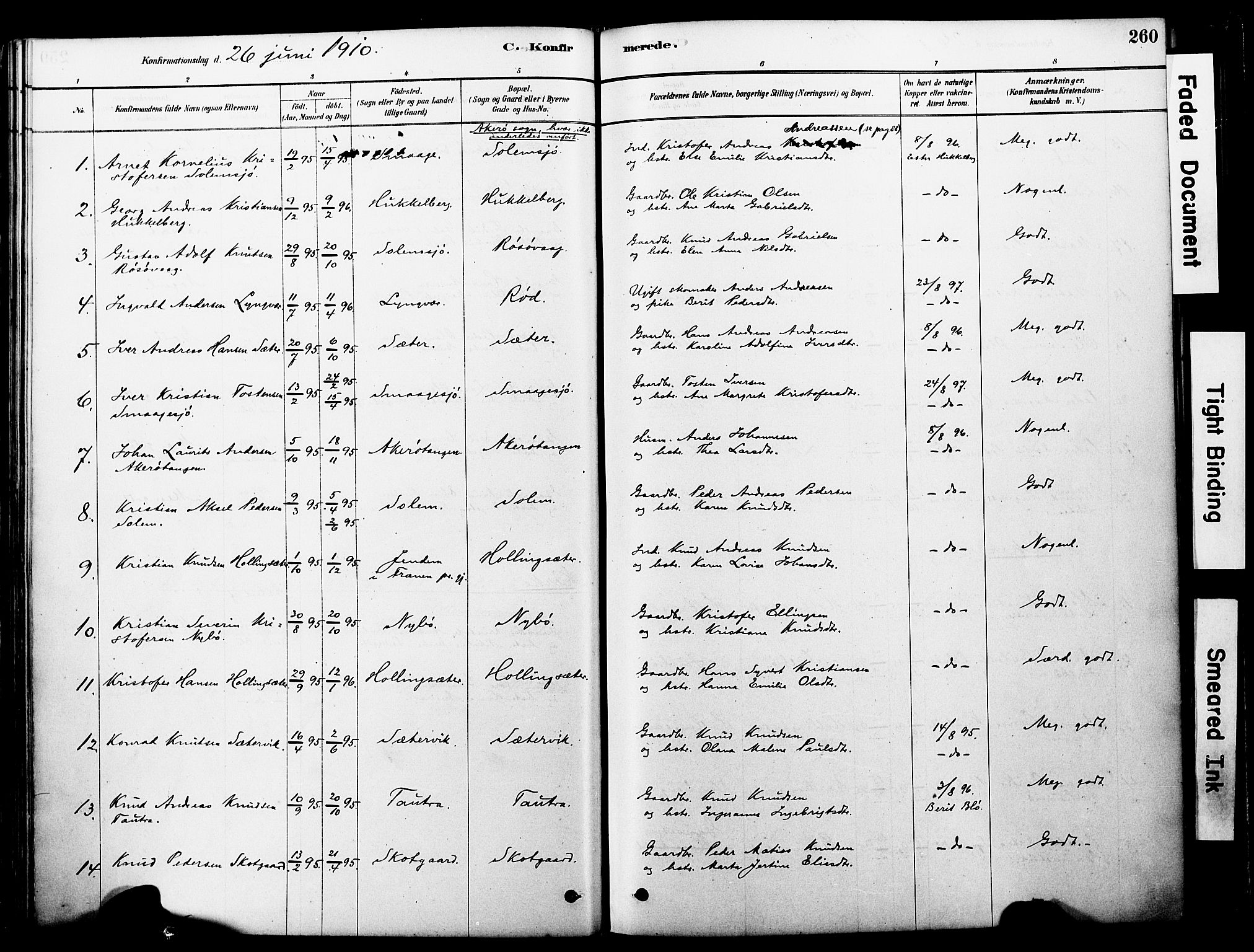 Ministerialprotokoller, klokkerbøker og fødselsregistre - Møre og Romsdal, SAT/A-1454/560/L0721: Parish register (official) no. 560A05, 1878-1917, p. 260