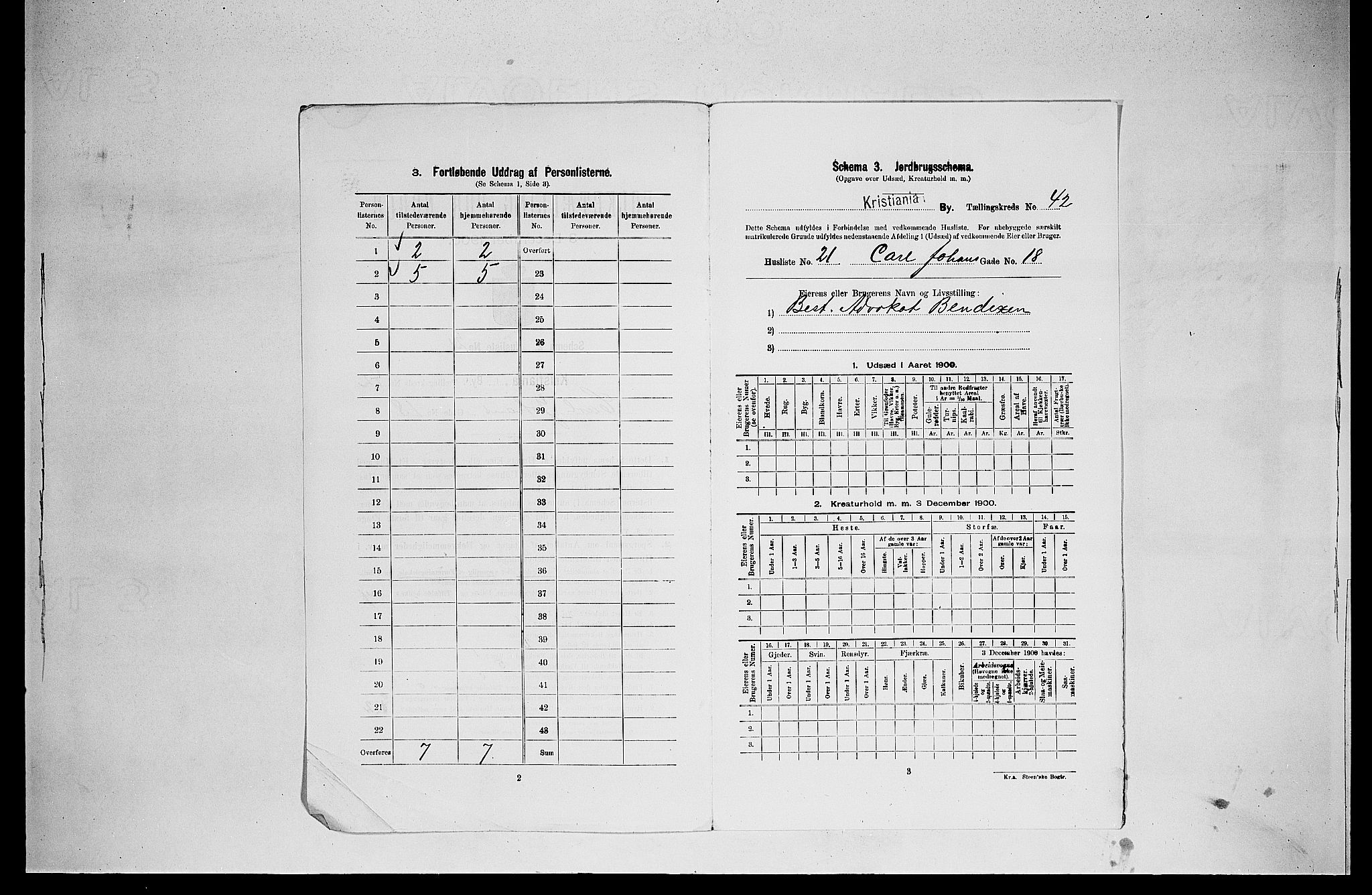 SAO, 1900 census for Kristiania, 1900, p. 11411