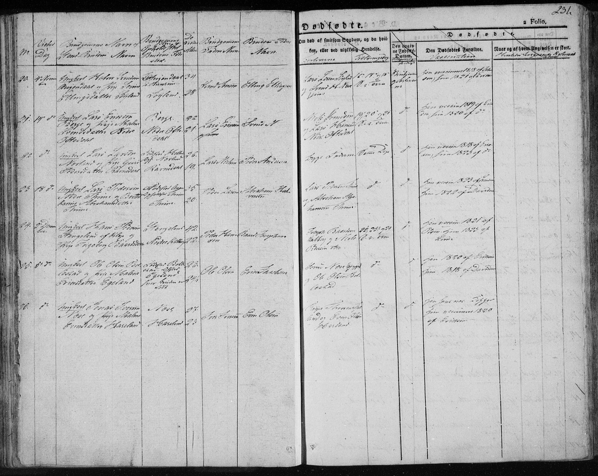 Lye sokneprestkontor, AV/SAST-A-101794/001/30BA/L0004: Parish register (official) no. A 4, 1826-1841, p. 231