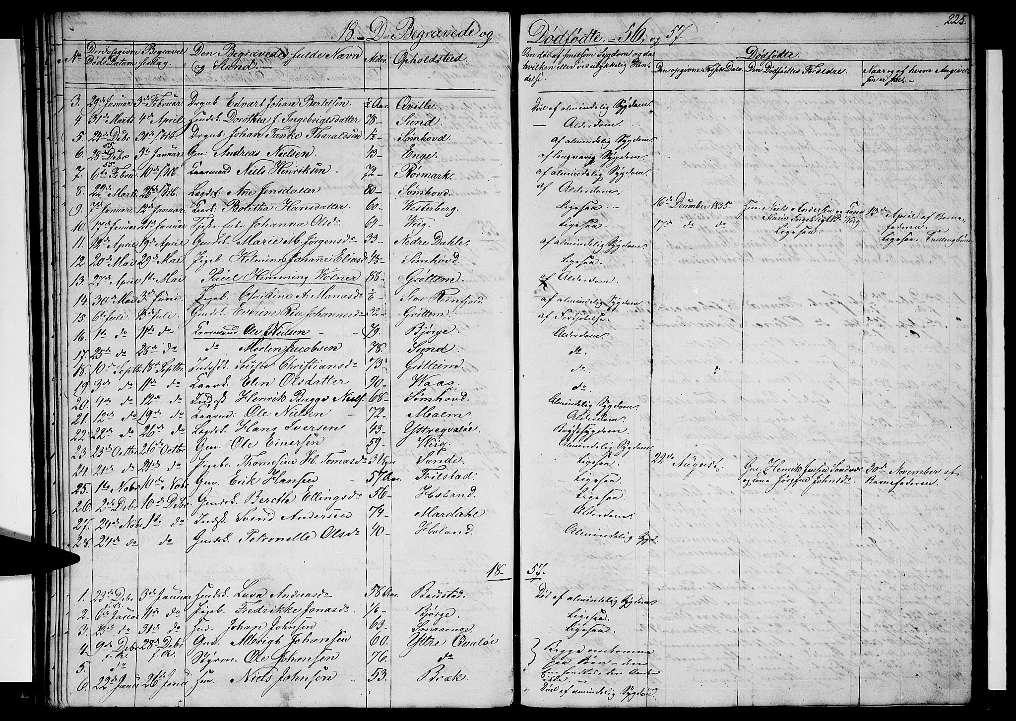 Ministerialprotokoller, klokkerbøker og fødselsregistre - Nordland, SAT/A-1459/812/L0187: Parish register (copy) no. 812C05, 1850-1883, p. 225
