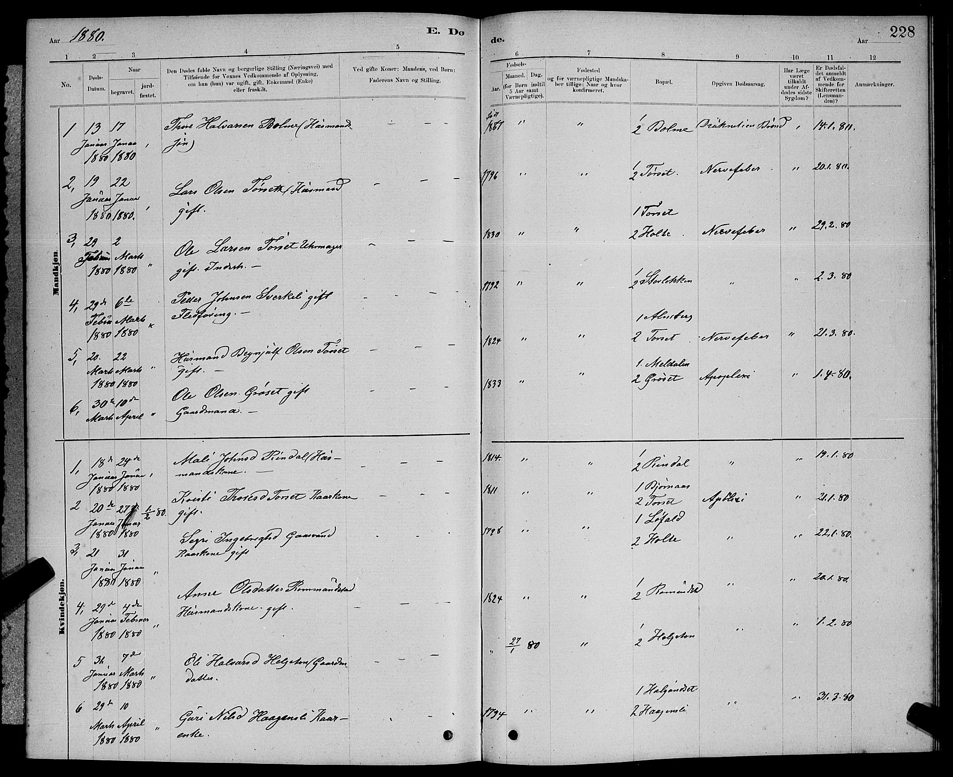 Ministerialprotokoller, klokkerbøker og fødselsregistre - Møre og Romsdal, AV/SAT-A-1454/598/L1077: Parish register (copy) no. 598C02, 1879-1891, p. 228