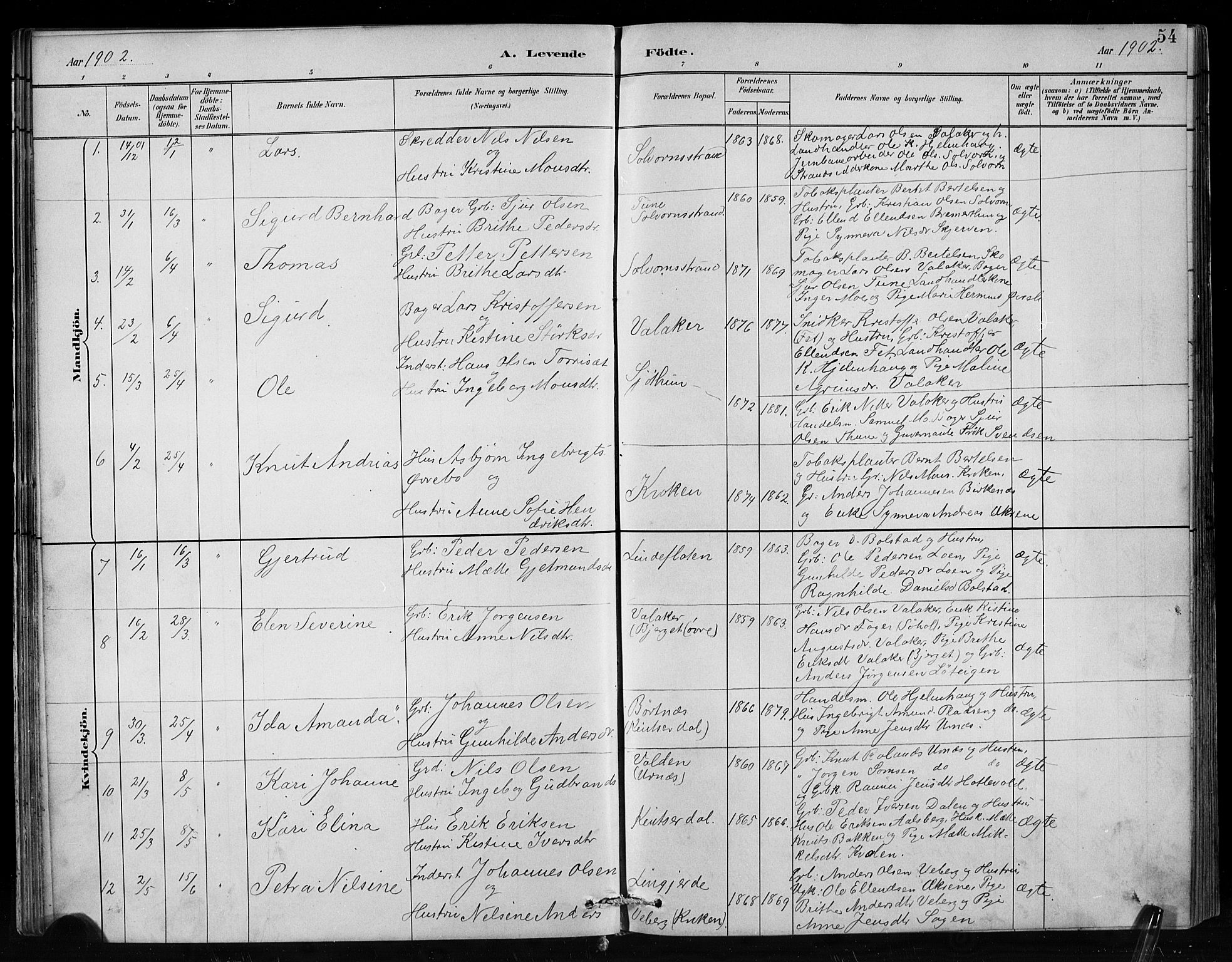 Hafslo sokneprestembete, SAB/A-80301/H/Hab/Habc/L0001: Parish register (copy) no. C 1, 1882-1908, p. 54