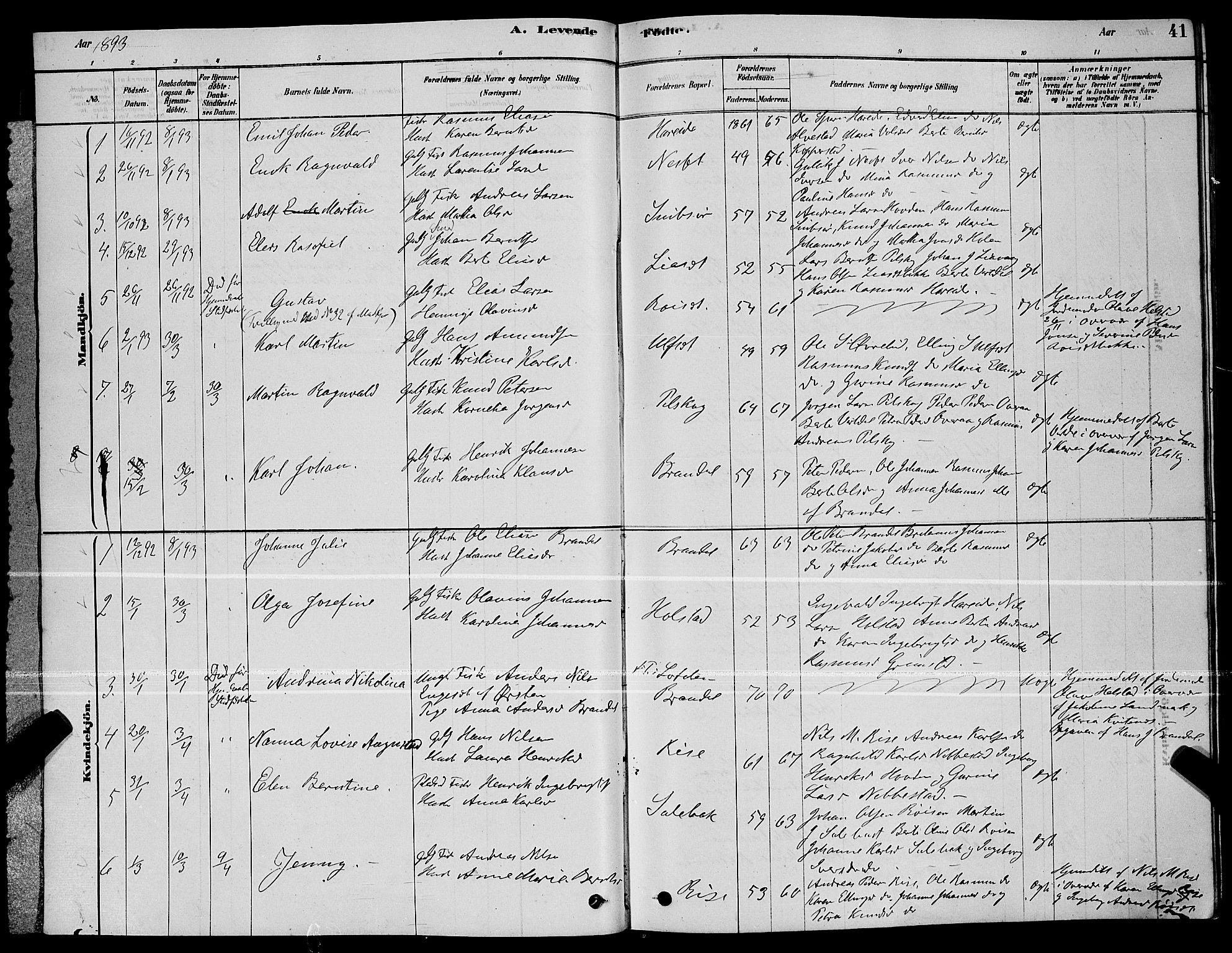 Ministerialprotokoller, klokkerbøker og fødselsregistre - Møre og Romsdal, SAT/A-1454/510/L0125: Parish register (copy) no. 510C02, 1878-1900, p. 41