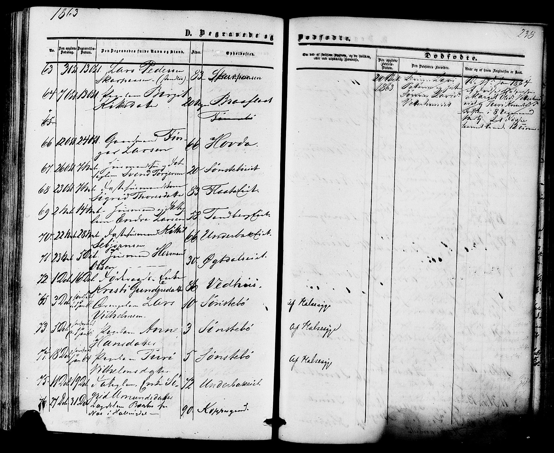 Nore kirkebøker, SAKO/A-238/F/Fa/L0003: Parish register (official) no. I 3, 1858-1866, p. 238