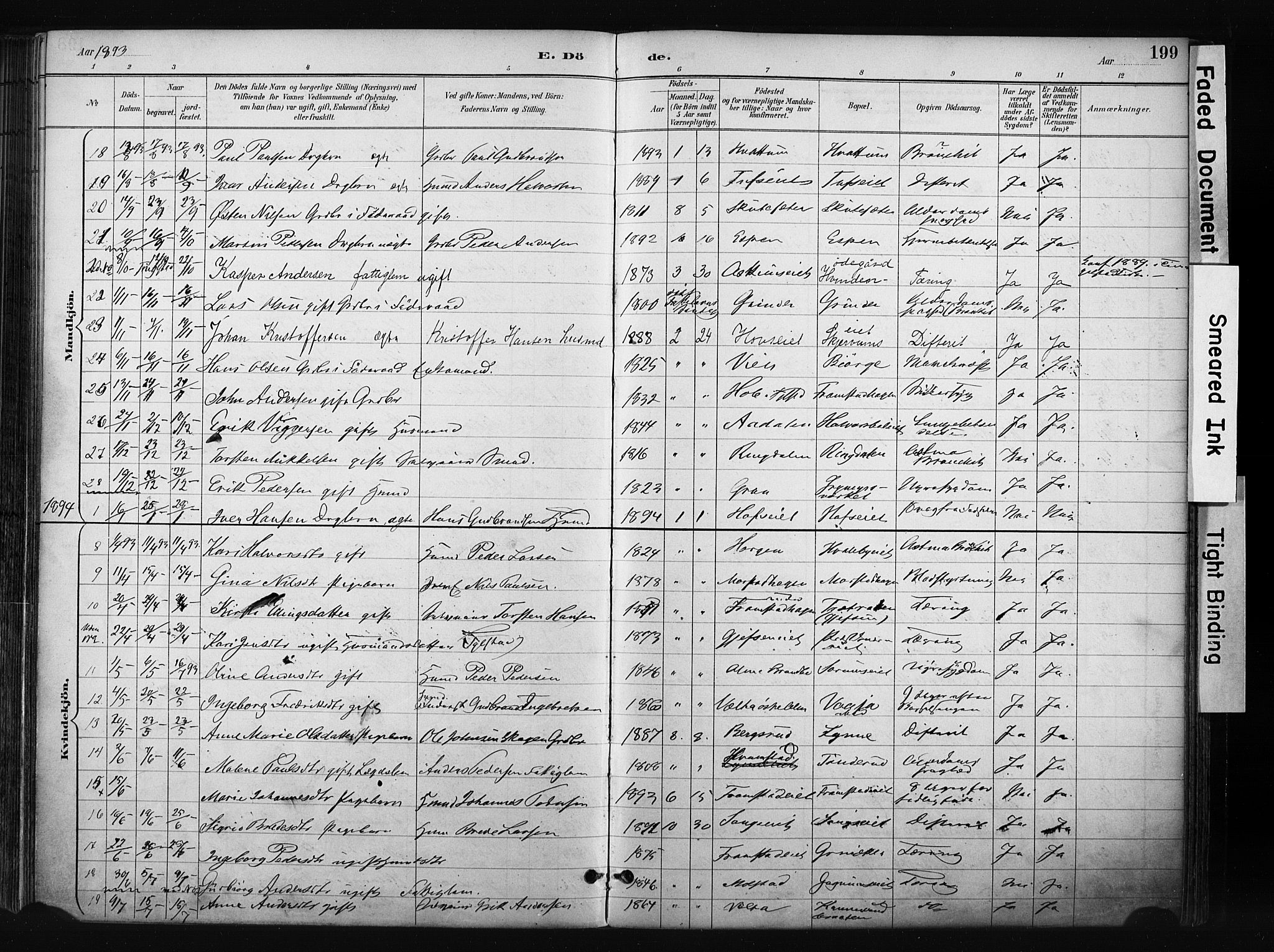 Gran prestekontor, SAH/PREST-112/H/Ha/Haa/L0017: Parish register (official) no. 17, 1889-1897, p. 199