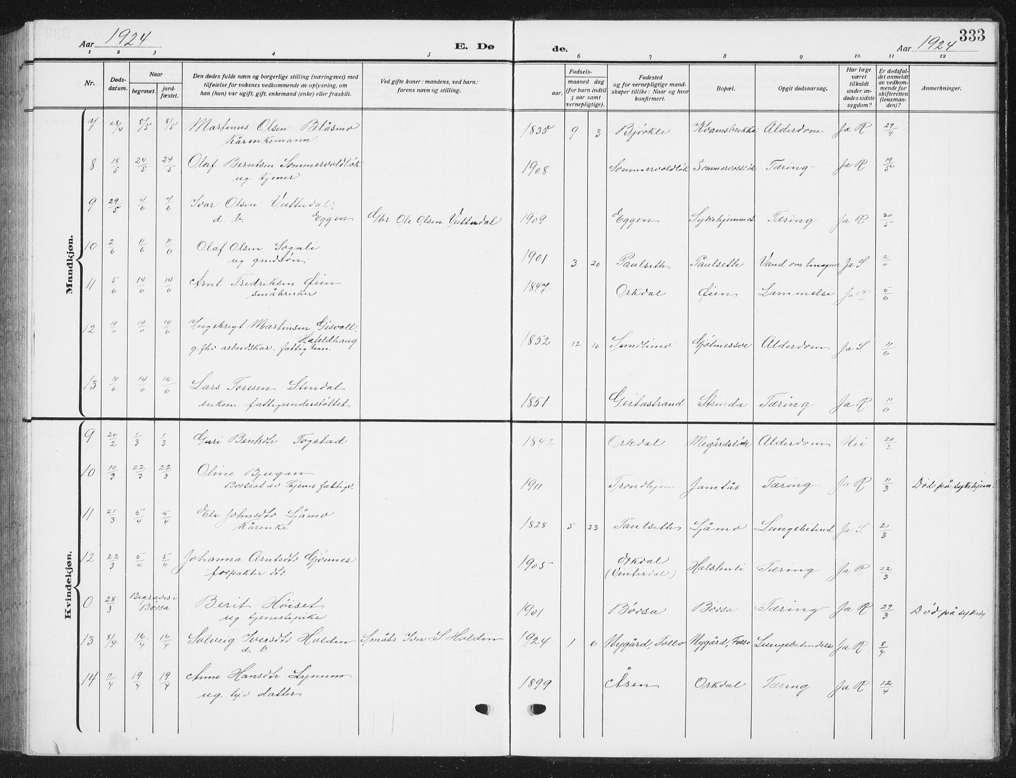 Ministerialprotokoller, klokkerbøker og fødselsregistre - Sør-Trøndelag, AV/SAT-A-1456/668/L0820: Parish register (copy) no. 668C09, 1912-1936, p. 333