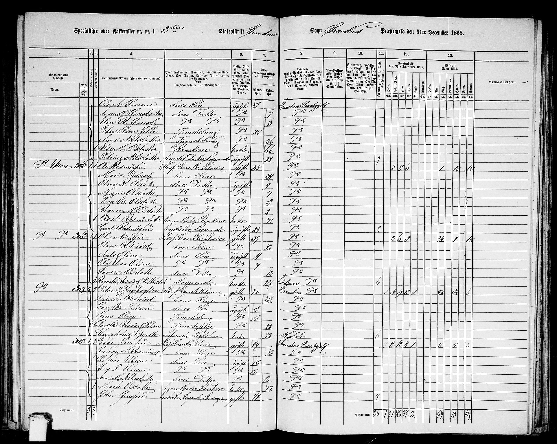 RA, 1865 census for Stranda, 1865, p. 45