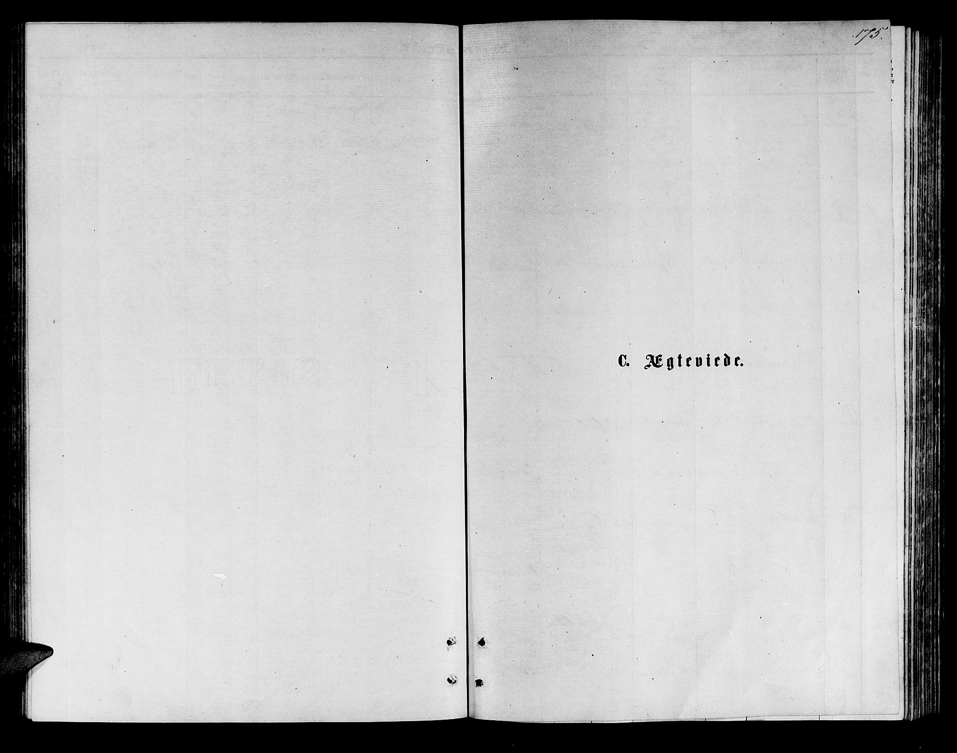 Målselv sokneprestembete, SATØ/S-1311/G/Ga/Gab/L0003klokker: Parish register (copy) no. 3, 1874-1885, p. 175