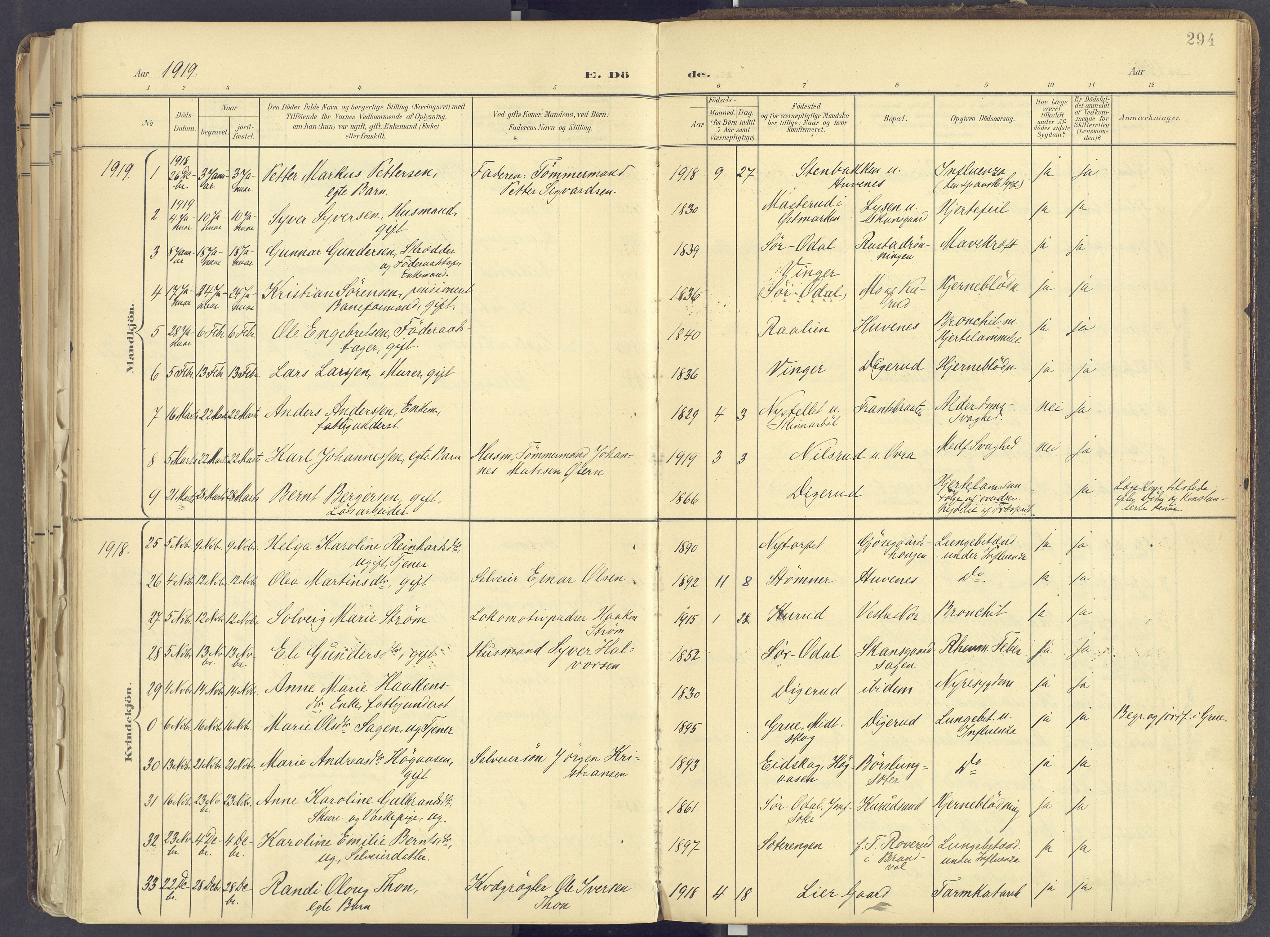 Vinger prestekontor, AV/SAH-PREST-024/H/Ha/Haa/L0017: Parish register (official) no. 17, 1901-1927, p. 294