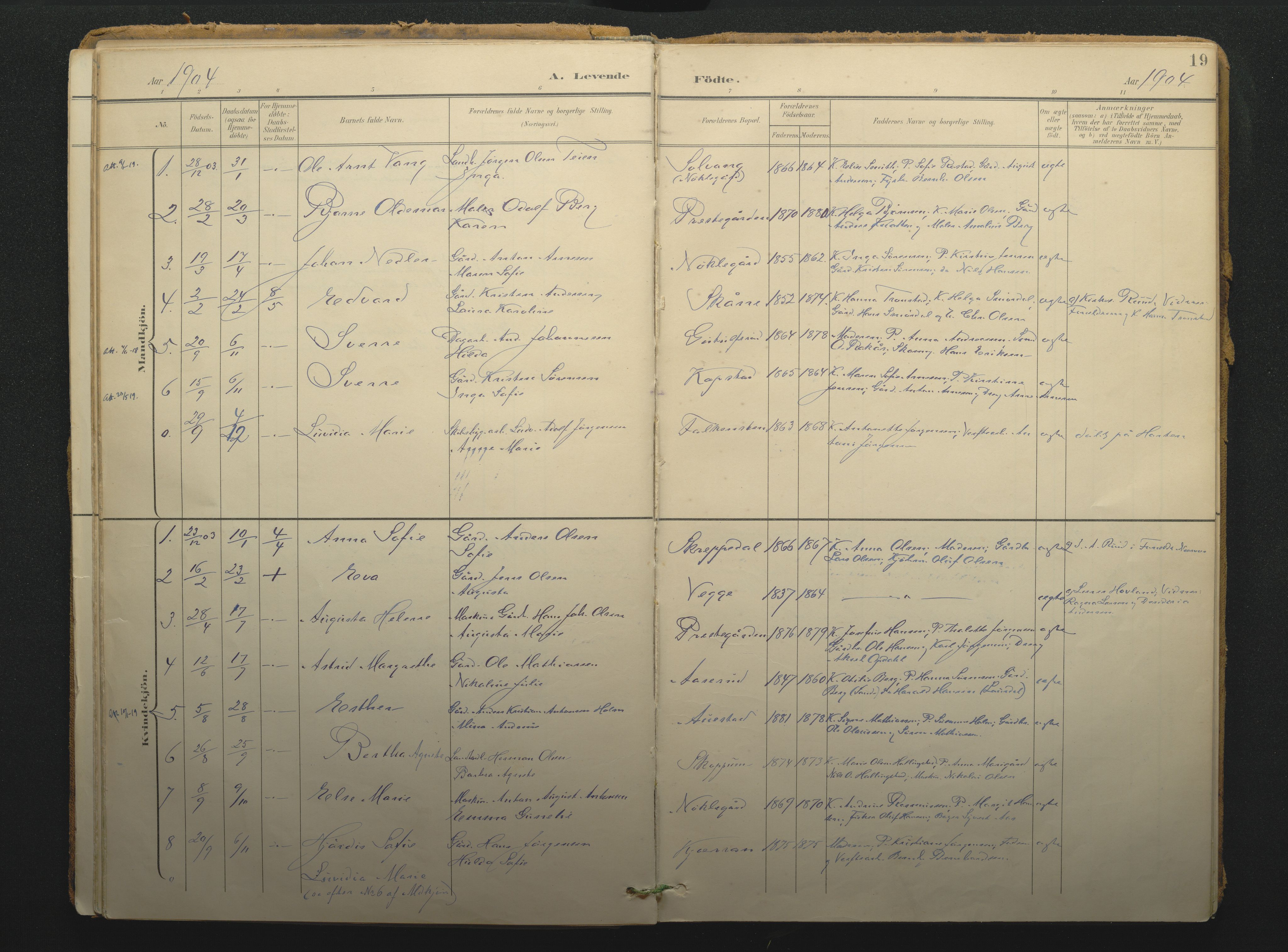 Borre kirkebøker, AV/SAKO-A-338/F/Fc/L0003: Parish register (official) no. III 3, 1896-1919, p. 19