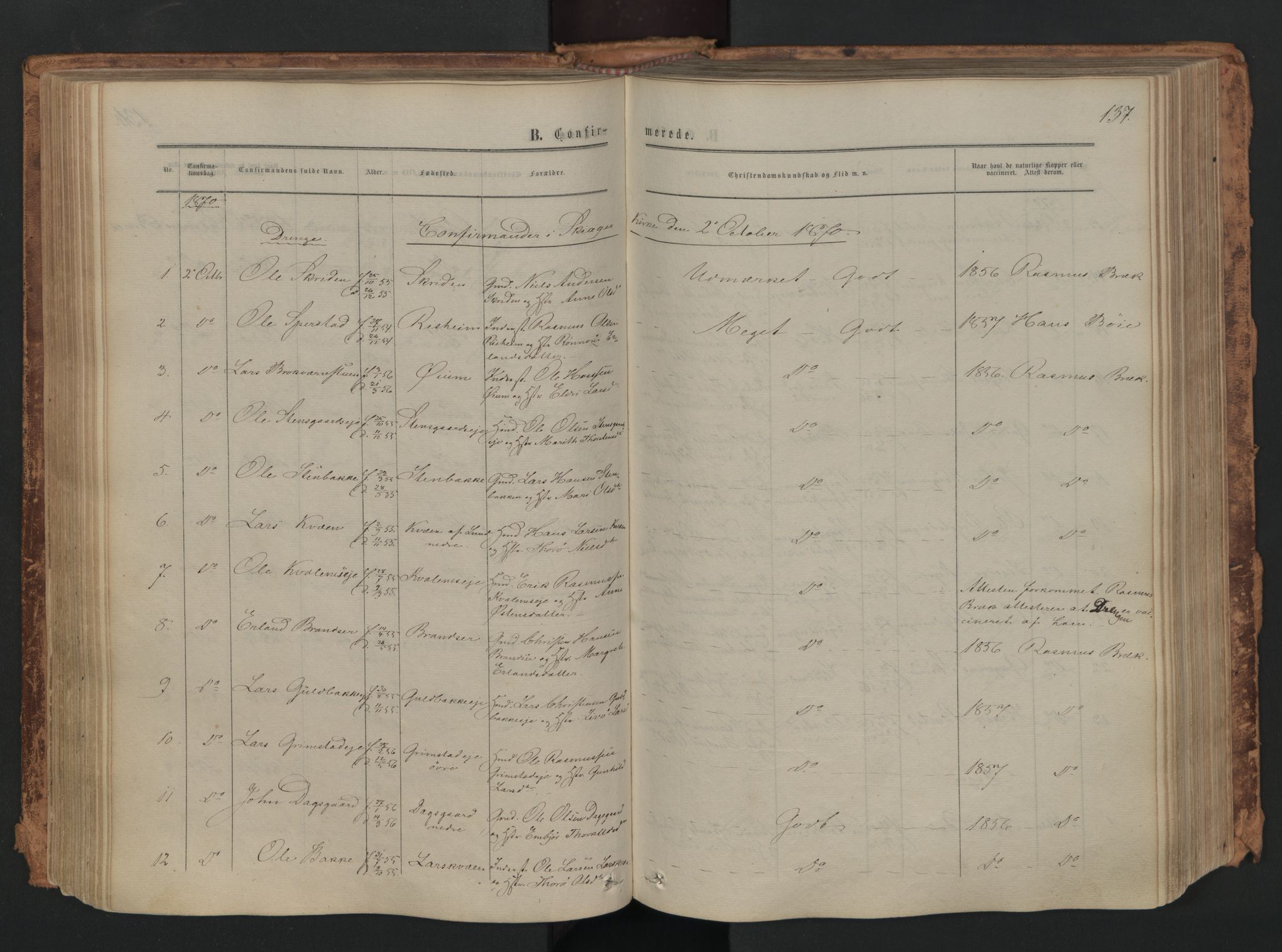 Skjåk prestekontor, SAH/PREST-072/H/Ha/Haa/L0001: Parish register (official) no. 1, 1863-1879, p. 137