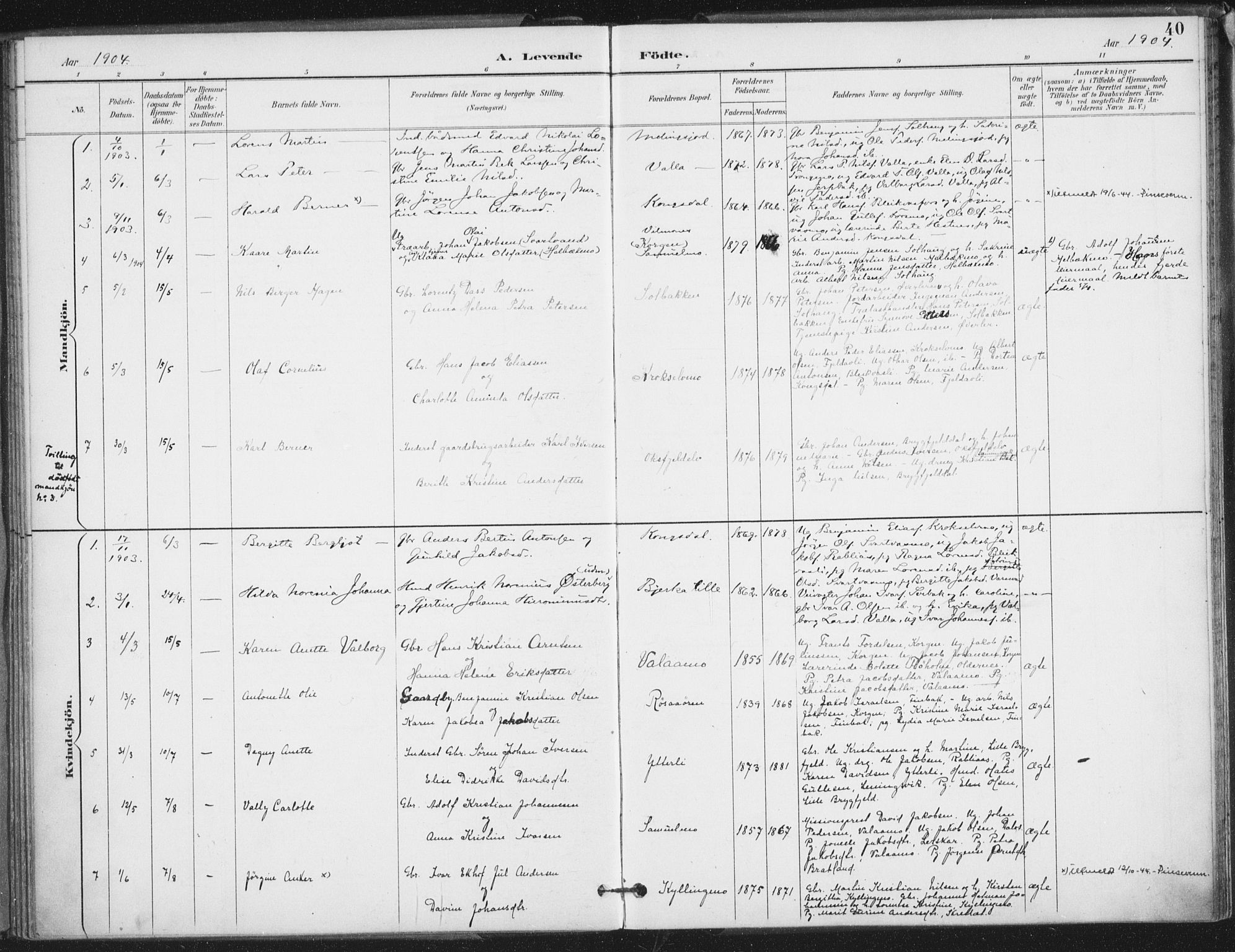 Ministerialprotokoller, klokkerbøker og fødselsregistre - Nordland, SAT/A-1459/826/L0380: Parish register (official) no. 826A03, 1891-1911, p. 40
