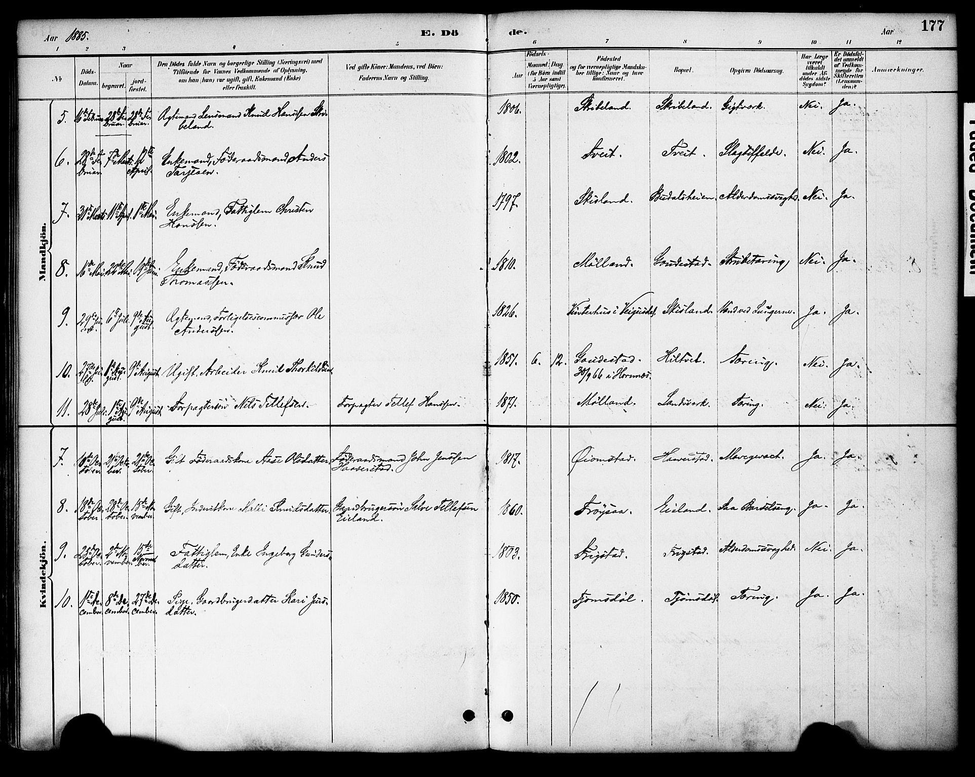 Evje sokneprestkontor, AV/SAK-1111-0008/F/Fa/Fac/L0003: Parish register (official) no. A 3, 1884-1909, p. 177