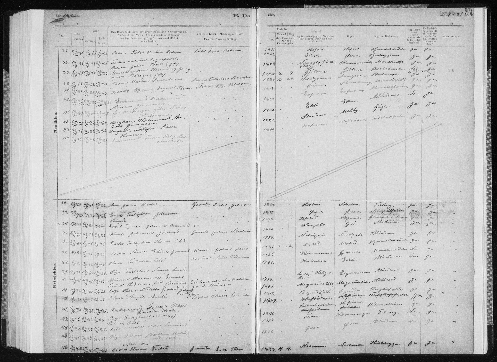 Ministerialprotokoller, klokkerbøker og fødselsregistre - Sør-Trøndelag, SAT/A-1456/668/L0818: Parish register (copy) no. 668C07, 1885-1898, p. 294