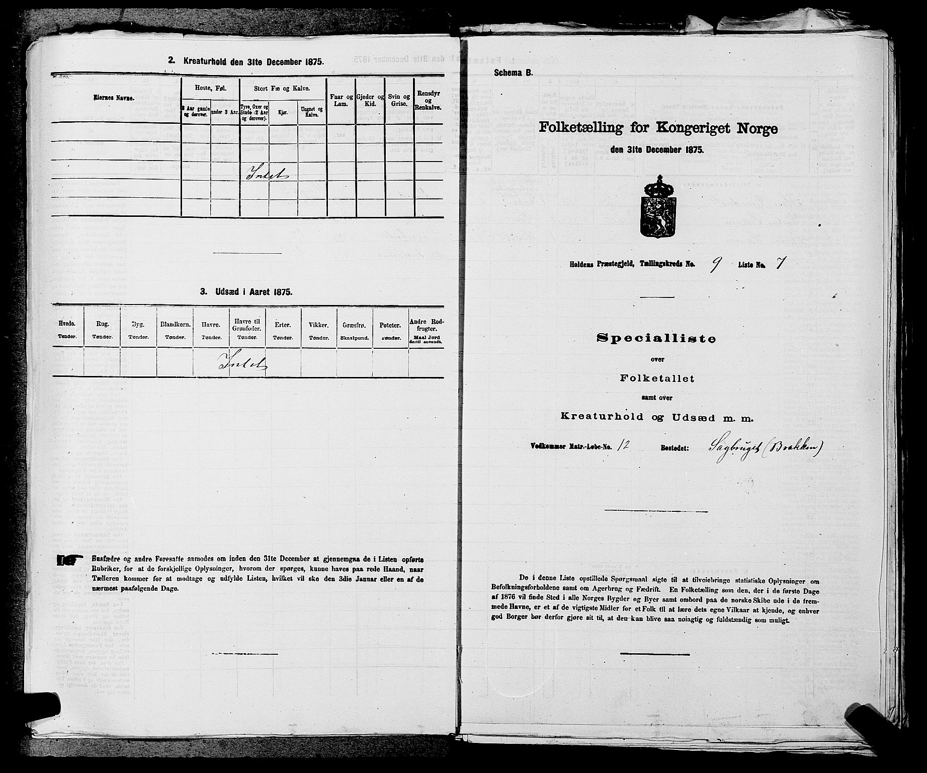 SAKO, 1875 census for 0819P Holla, 1875, p. 1090