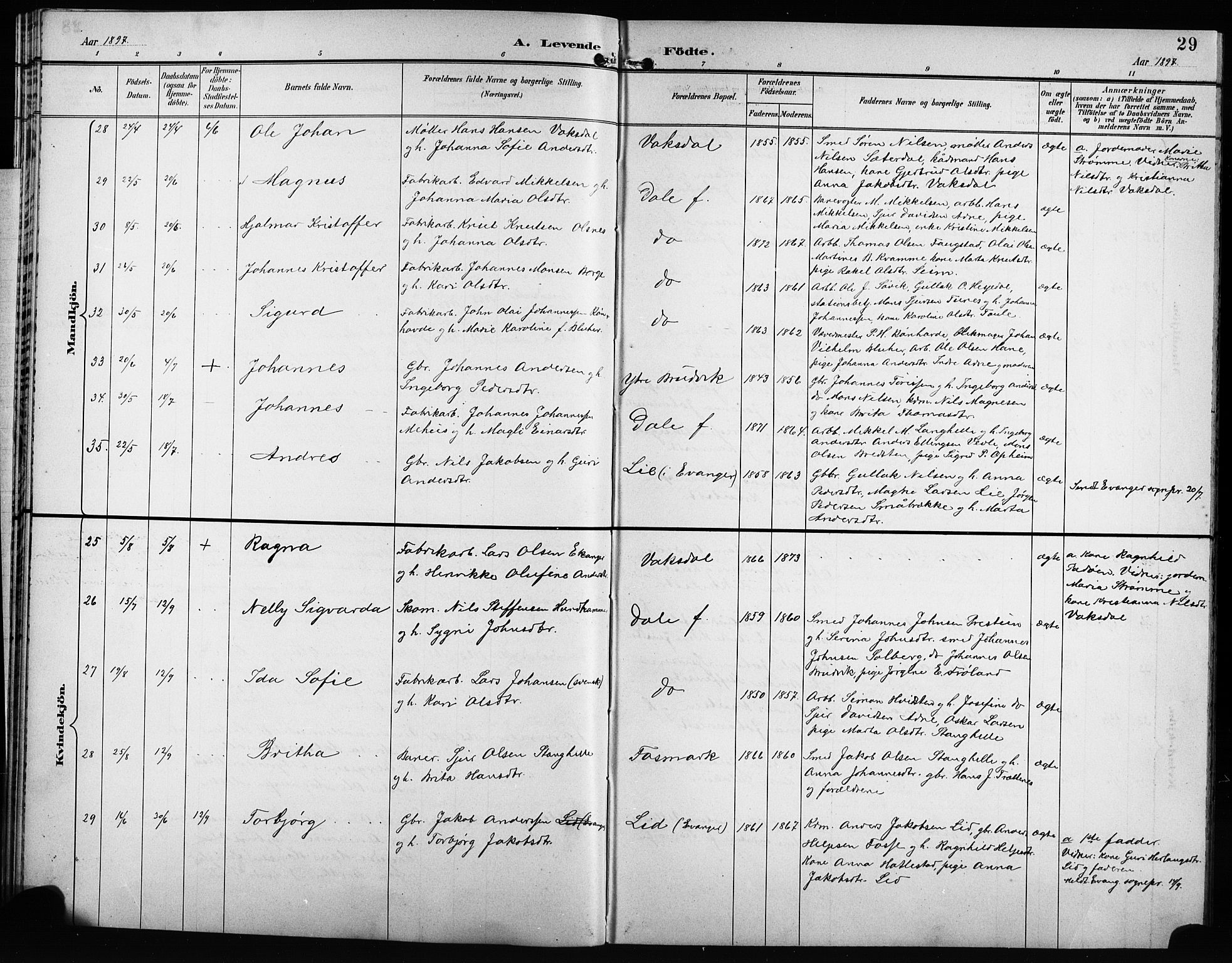 Bruvik Sokneprestembete, AV/SAB-A-74701/H/Hab: Parish register (copy) no. A 2, 1895-1907, p. 29