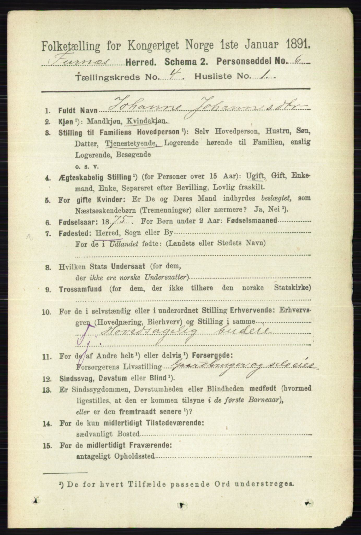 RA, Census 1891 for 0413 Furnes herred, 1891, p. 2465