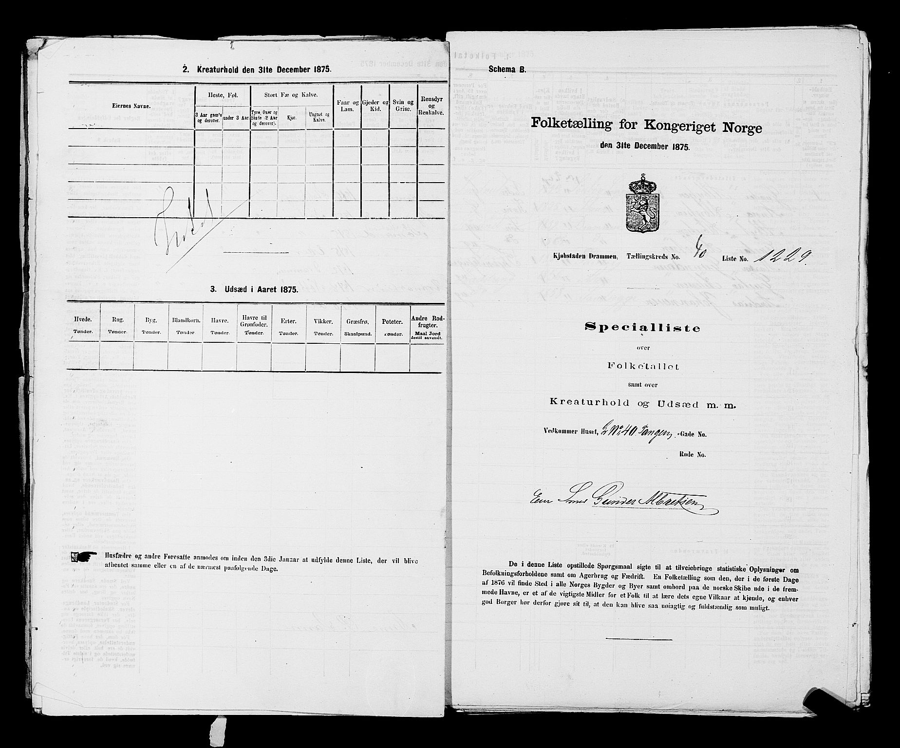 SAKO, 1875 census for 0602 Drammen, 1875, p. 3388