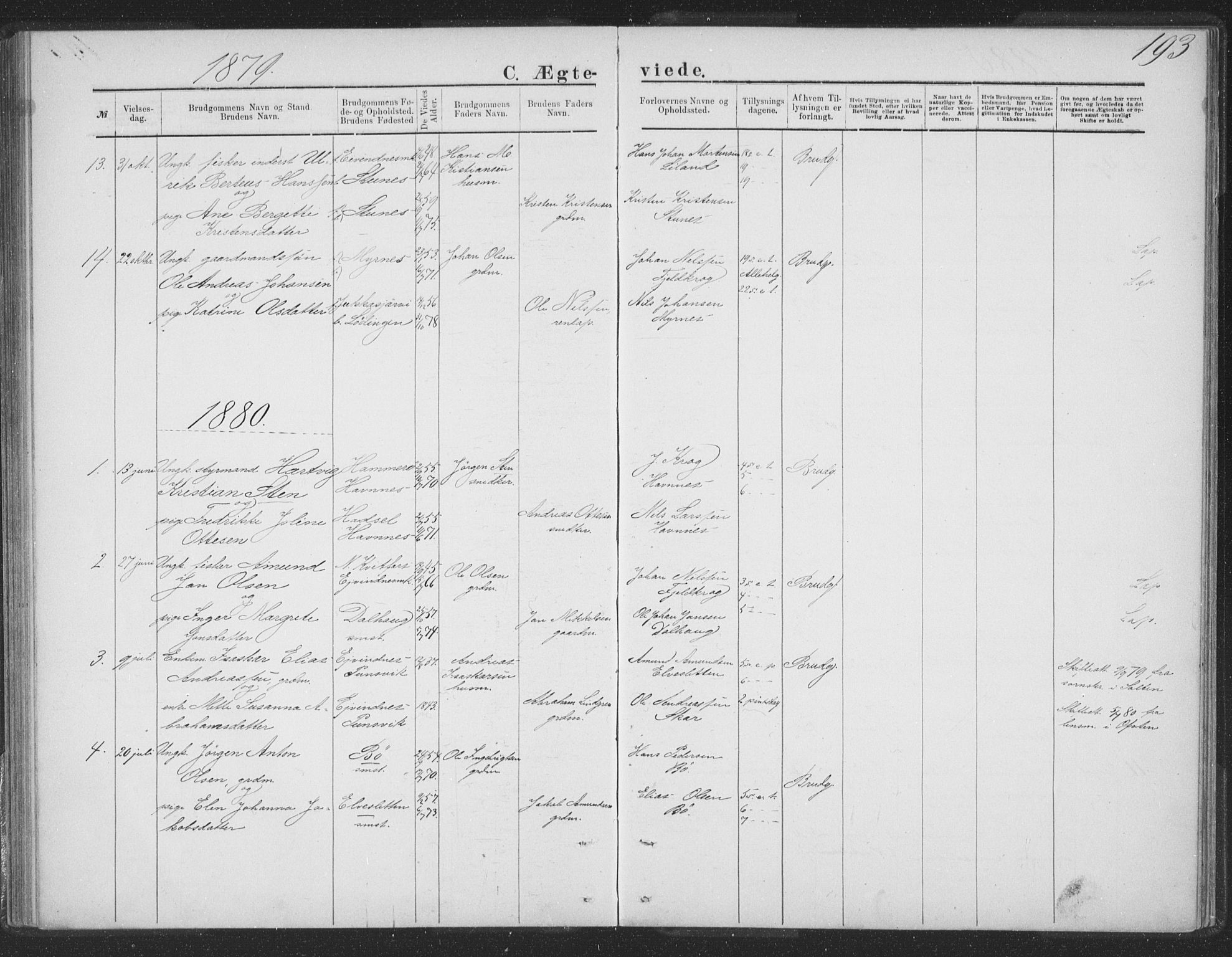 Ministerialprotokoller, klokkerbøker og fødselsregistre - Nordland, AV/SAT-A-1459/863/L0913: Parish register (copy) no. 863C03, 1877-1885, p. 193