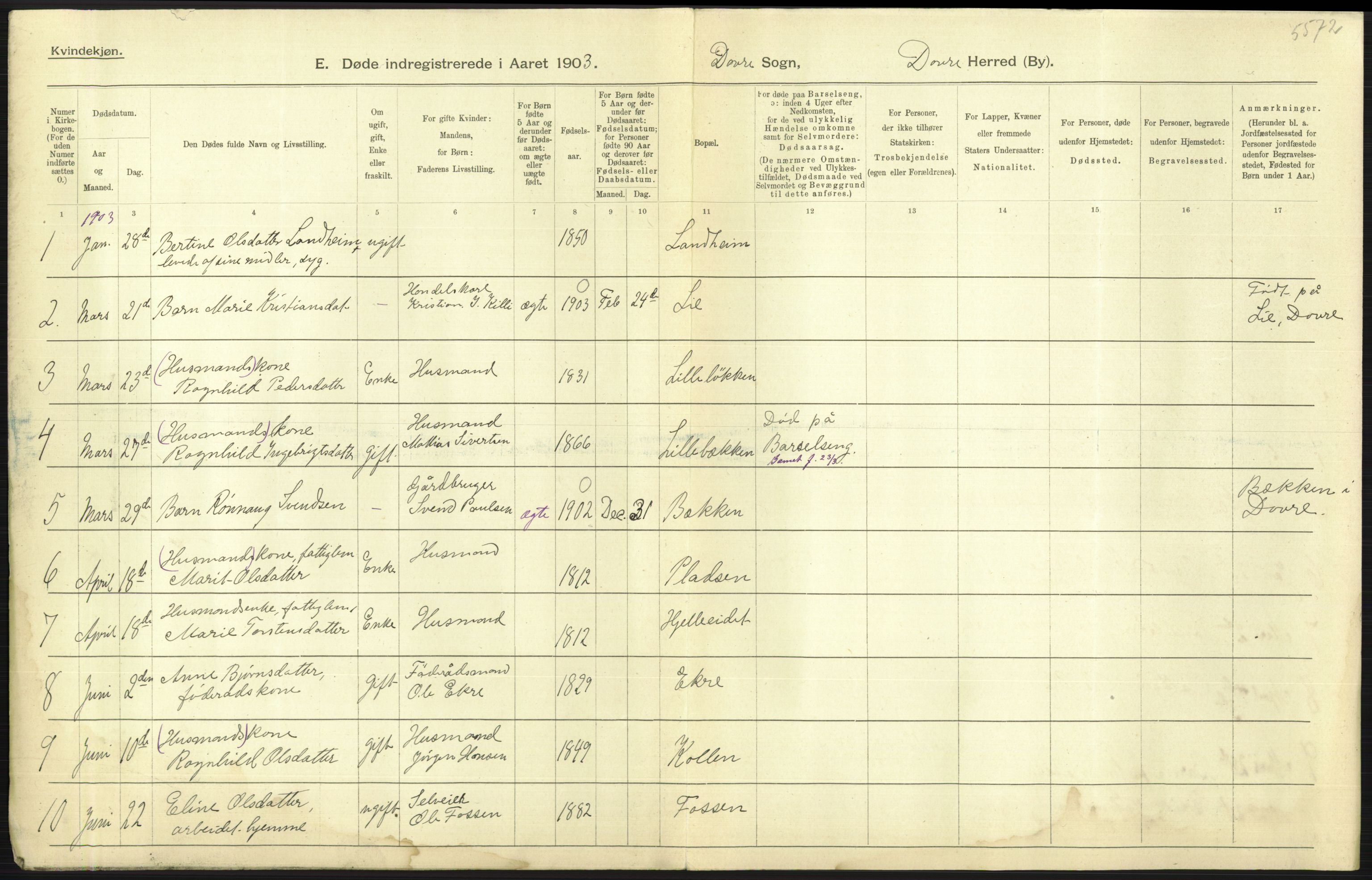 Statistisk sentralbyrå, Sosiodemografiske emner, Befolkning, AV/RA-S-2228/D/Df/Dfa/Dfaa/L0006: Kristians amt: Fødte, gifte, døde, 1903, p. 579