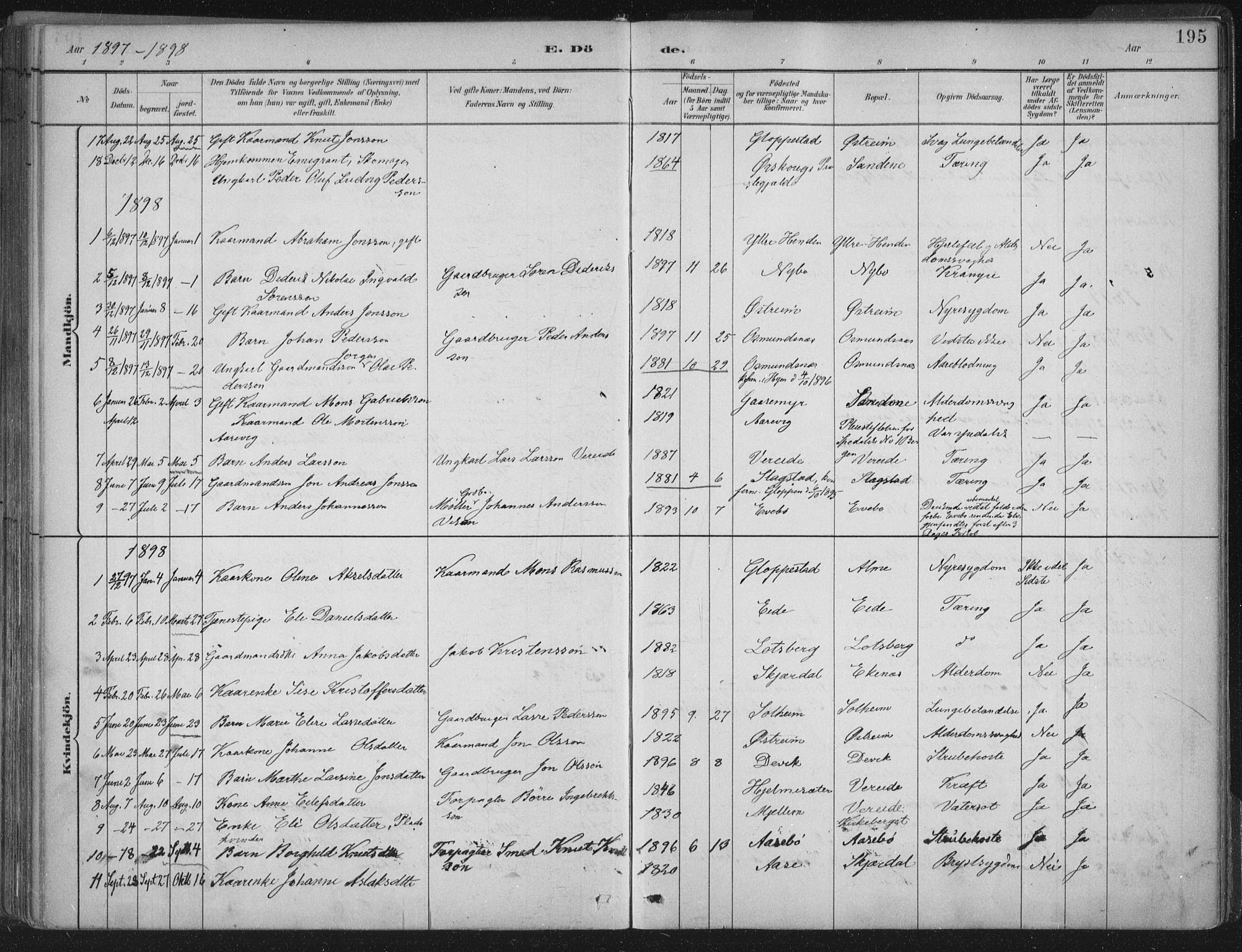 Gloppen sokneprestembete, SAB/A-80101/H/Haa/Haab/L0001: Parish register (official) no. B  1, 1885-1905, p. 195