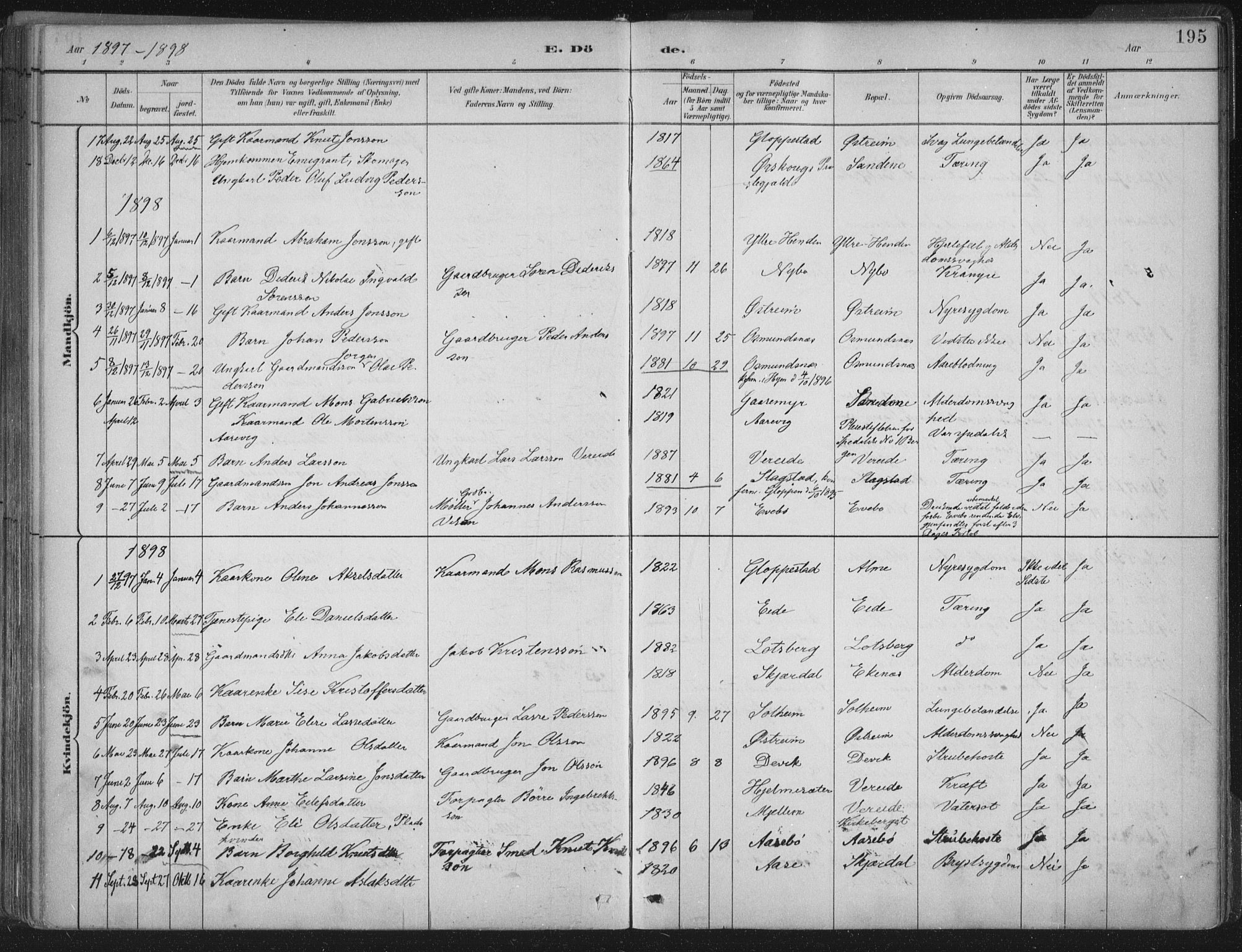 Gloppen sokneprestembete, AV/SAB-A-80101/H/Haa/Haab/L0001: Parish register (official) no. B  1, 1885-1905, p. 195