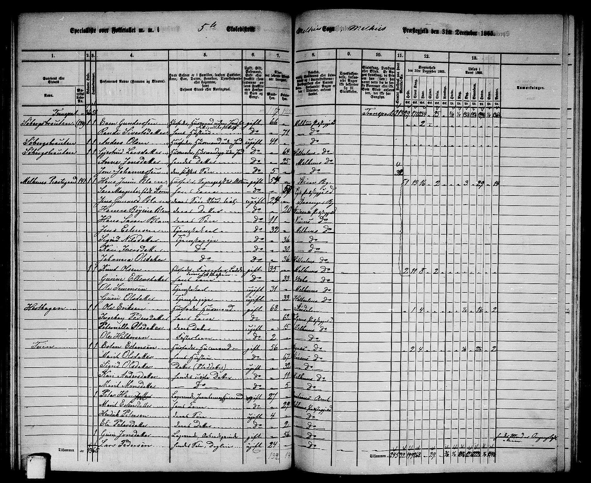 RA, 1865 census for Melhus, 1865, p. 99