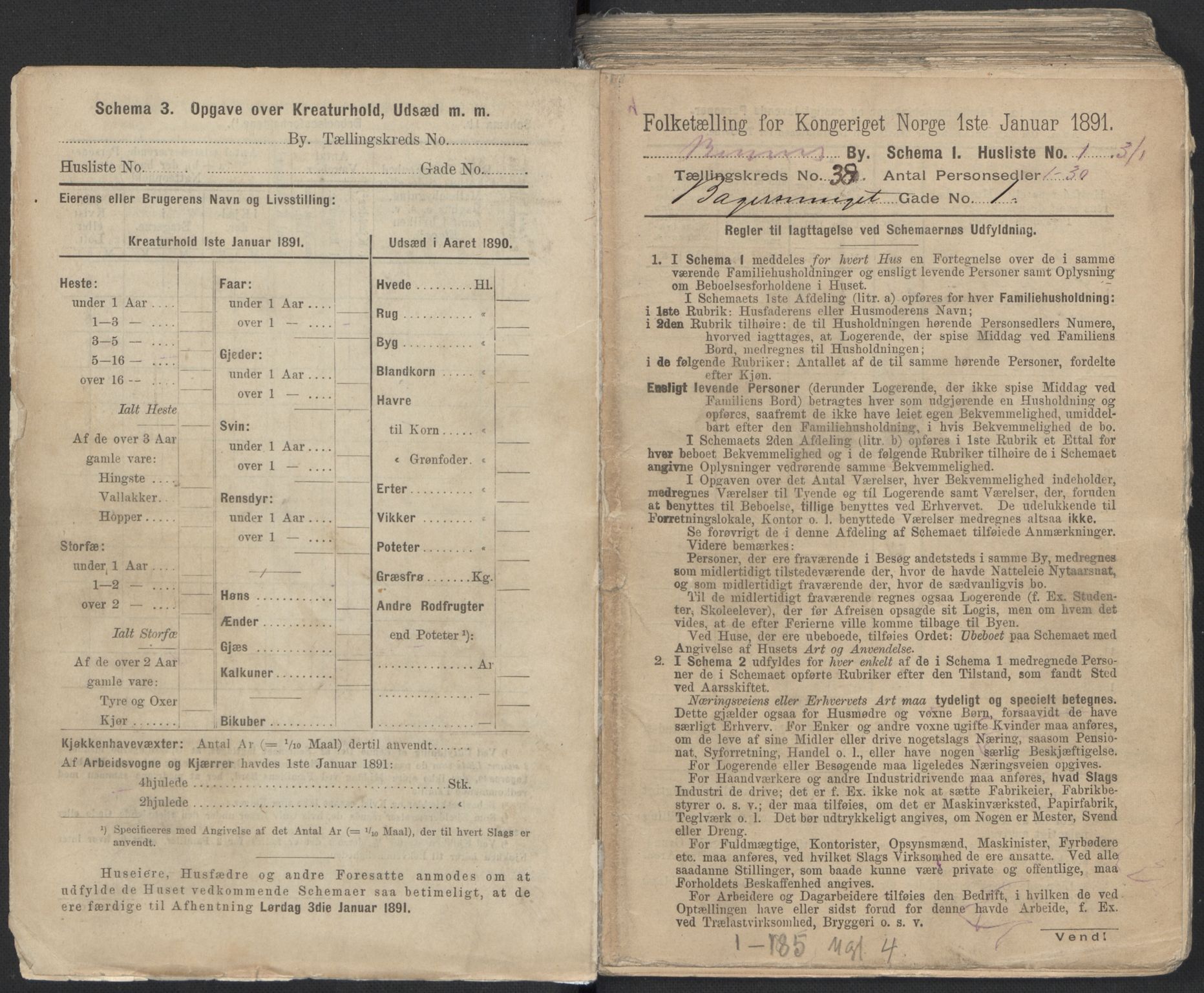 RA, 1891 Census for 1301 Bergen, 1891, p. 6078