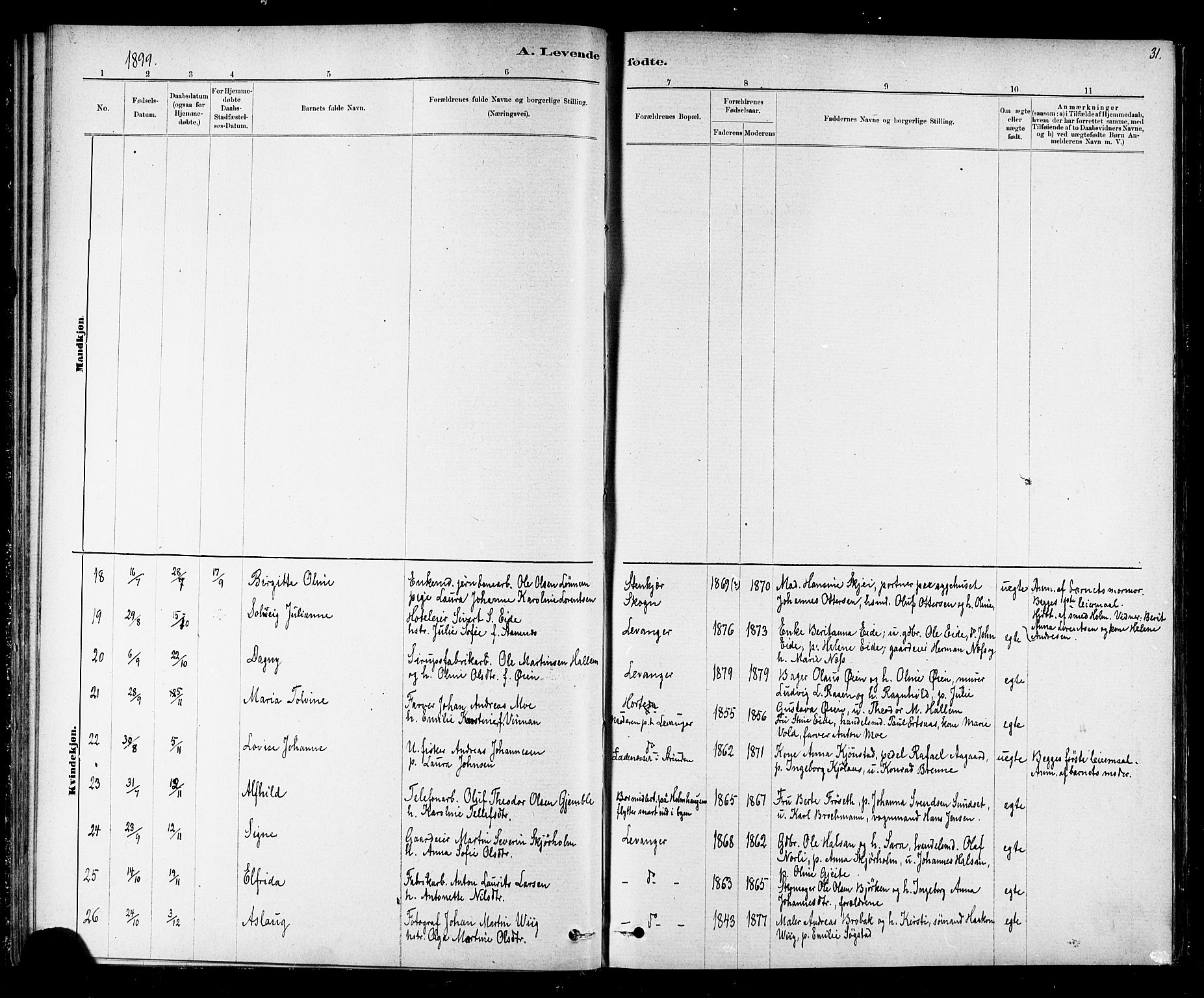 Ministerialprotokoller, klokkerbøker og fødselsregistre - Nord-Trøndelag, SAT/A-1458/720/L0192: Parish register (copy) no. 720C01, 1880-1917, p. 31