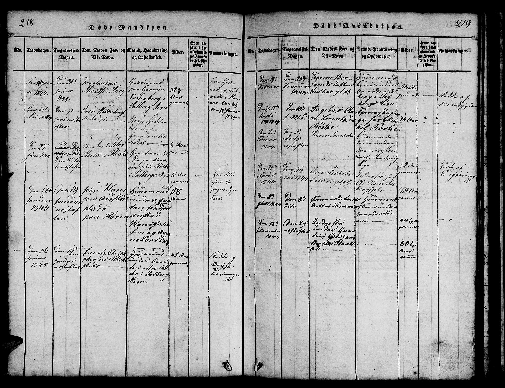 Ministerialprotokoller, klokkerbøker og fødselsregistre - Nord-Trøndelag, SAT/A-1458/731/L0310: Parish register (copy) no. 731C01, 1816-1874, p. 218-219