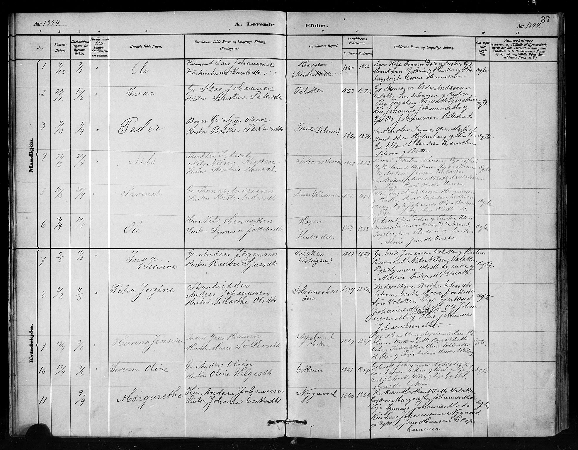 Hafslo sokneprestembete, AV/SAB-A-80301/H/Hab/Habc/L0001: Parish register (copy) no. C 1, 1882-1908, p. 37