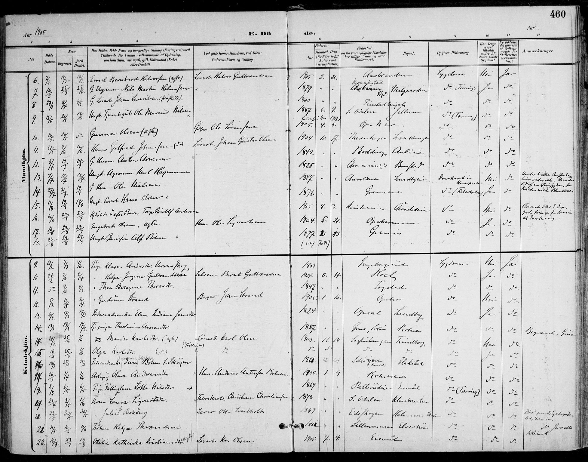 Nes prestekontor Kirkebøker, SAO/A-10410/F/Fa/L0011: Parish register (official) no. I 11, 1899-1918, p. 460