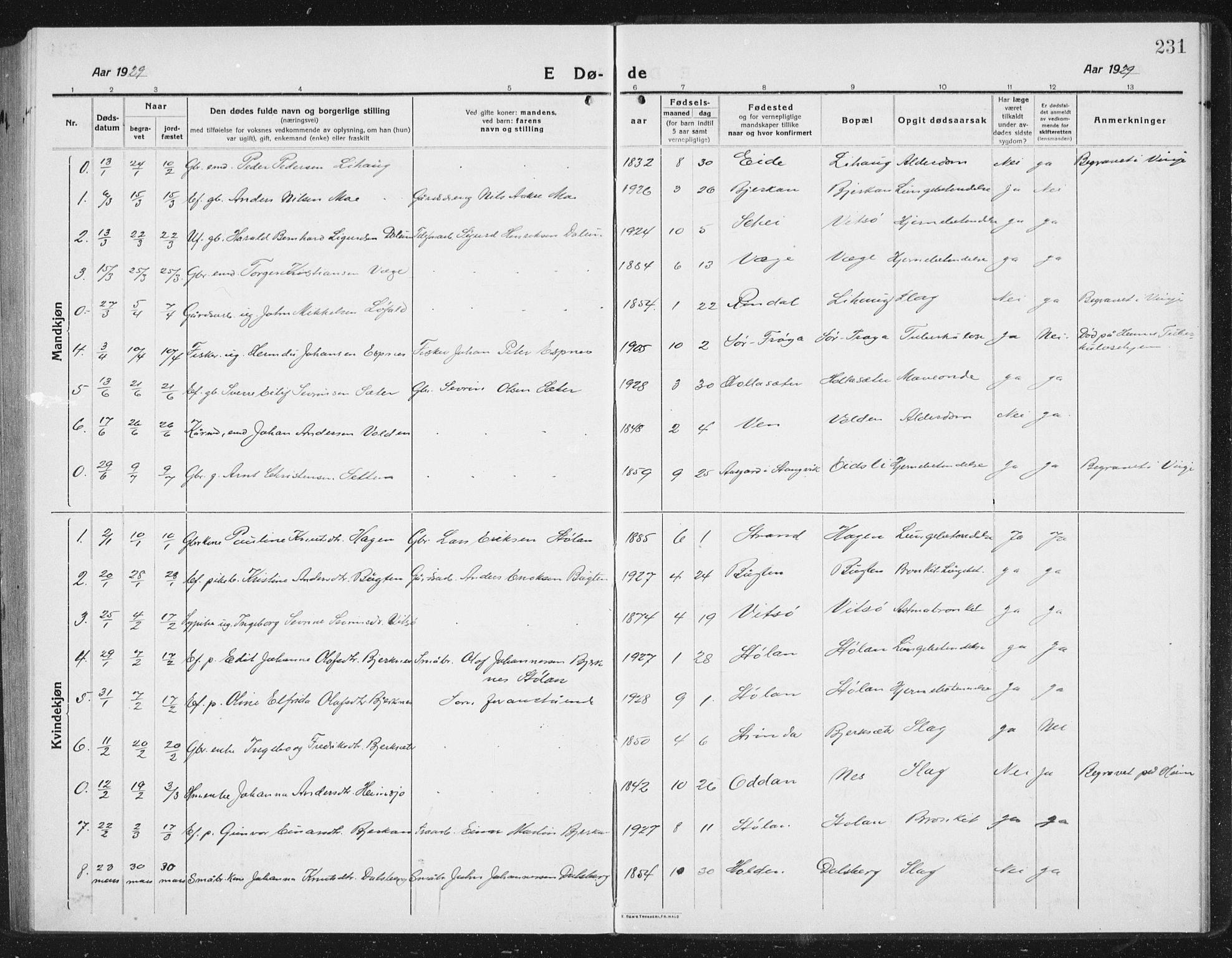 Ministerialprotokoller, klokkerbøker og fødselsregistre - Sør-Trøndelag, SAT/A-1456/630/L0506: Parish register (copy) no. 630C04, 1914-1933, p. 231