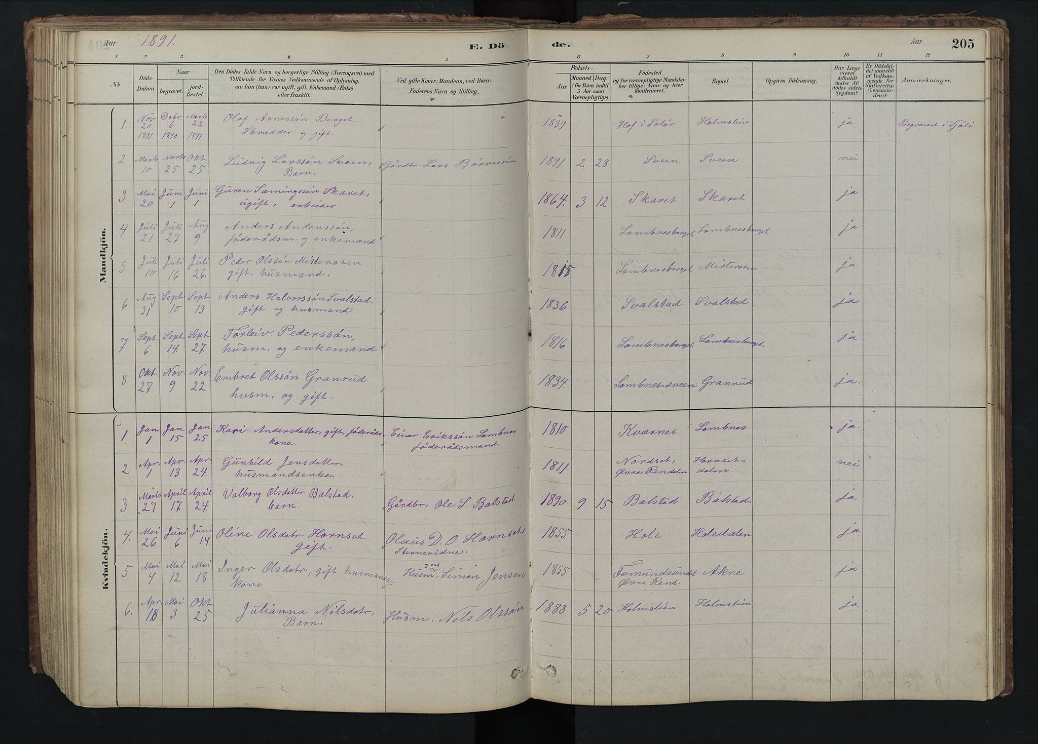 Rendalen prestekontor, SAH/PREST-054/H/Ha/Hab/L0009: Parish register (copy) no. 9, 1879-1902, p. 205