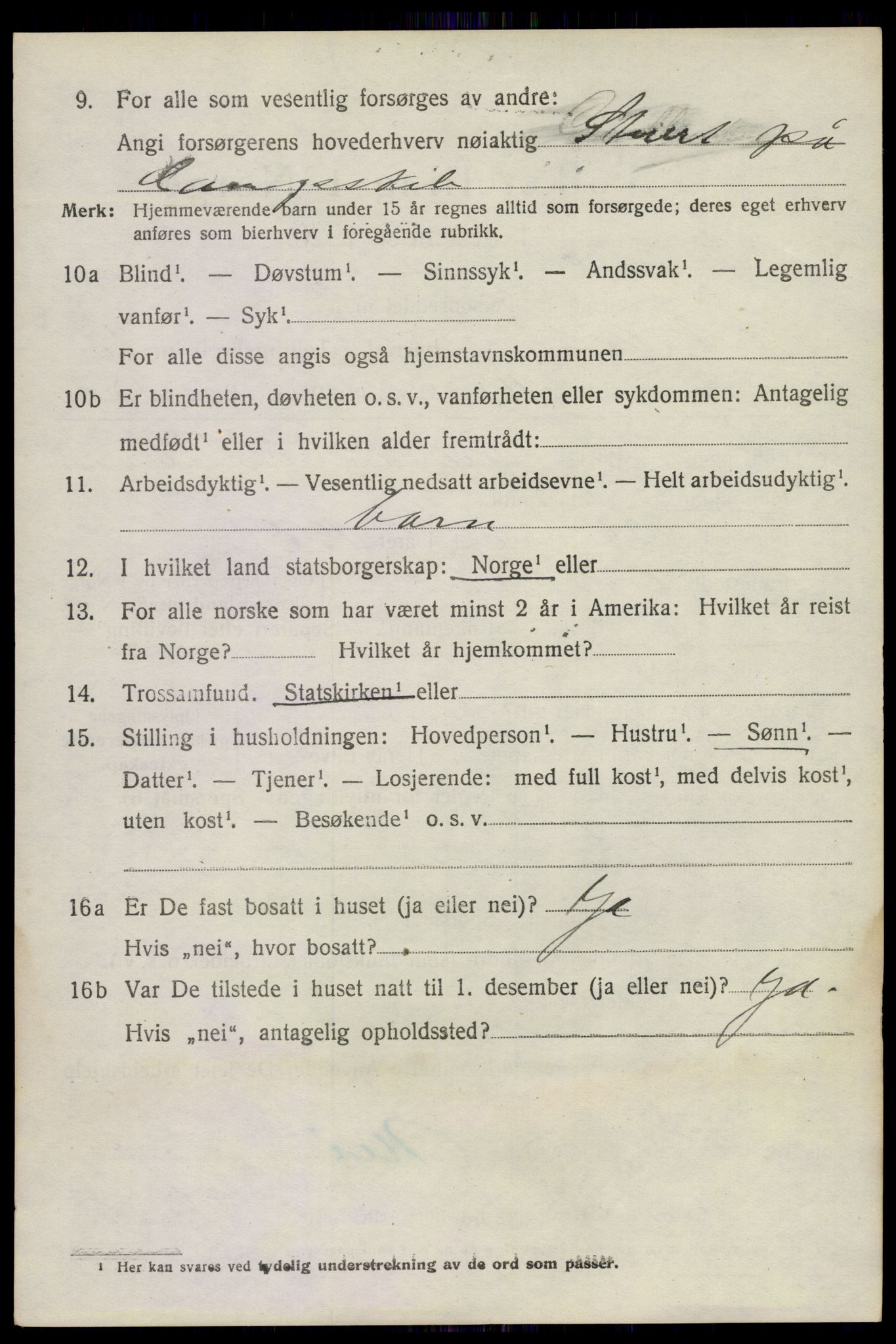 SAKO, 1920 census for Nøtterøy, 1920, p. 13532