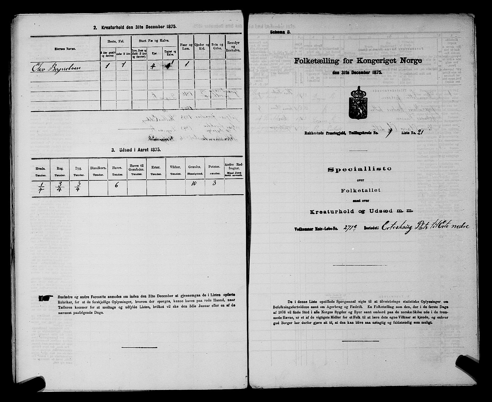 RA, 1875 census for 0128P Rakkestad, 1875, p. 1154