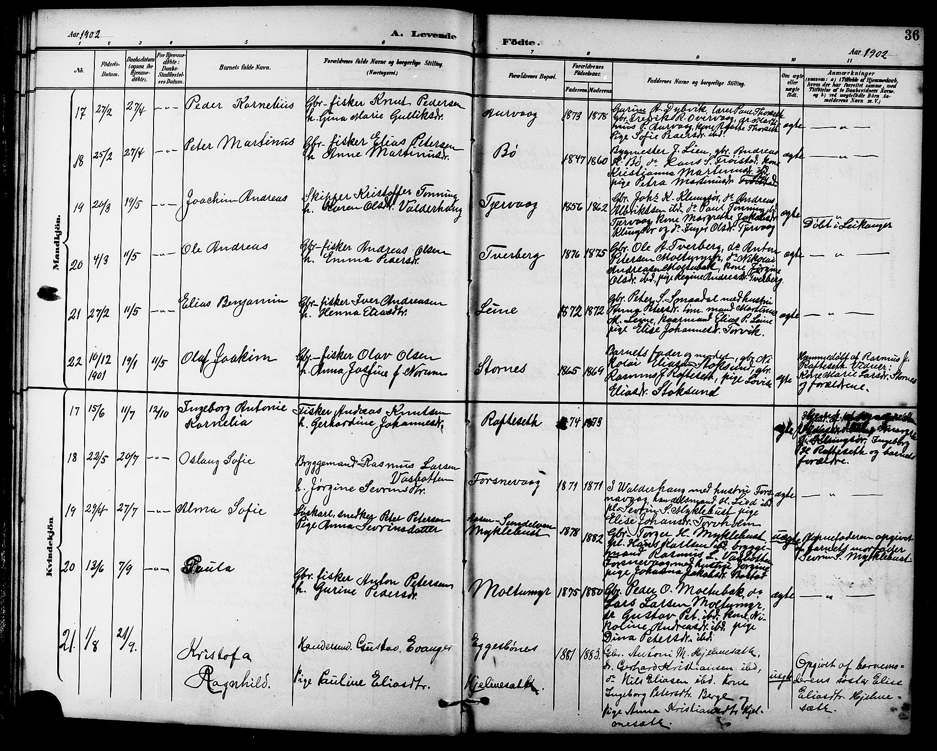 Ministerialprotokoller, klokkerbøker og fødselsregistre - Møre og Romsdal, AV/SAT-A-1454/507/L0082: Parish register (copy) no. 507C05, 1896-1914, p. 36