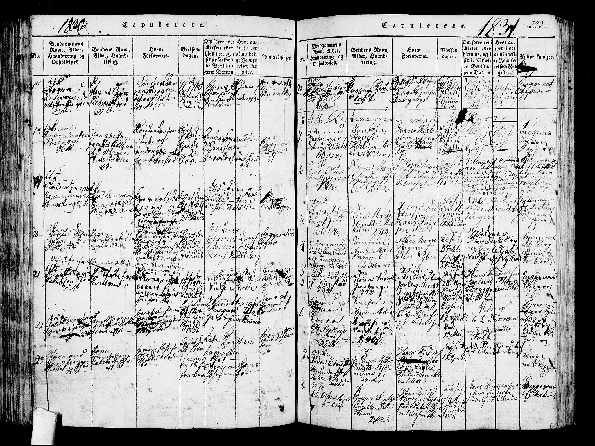 Sandar kirkebøker, SAKO/A-243/F/Fa/L0004: Parish register (official) no. 4, 1814-1832, p. 223