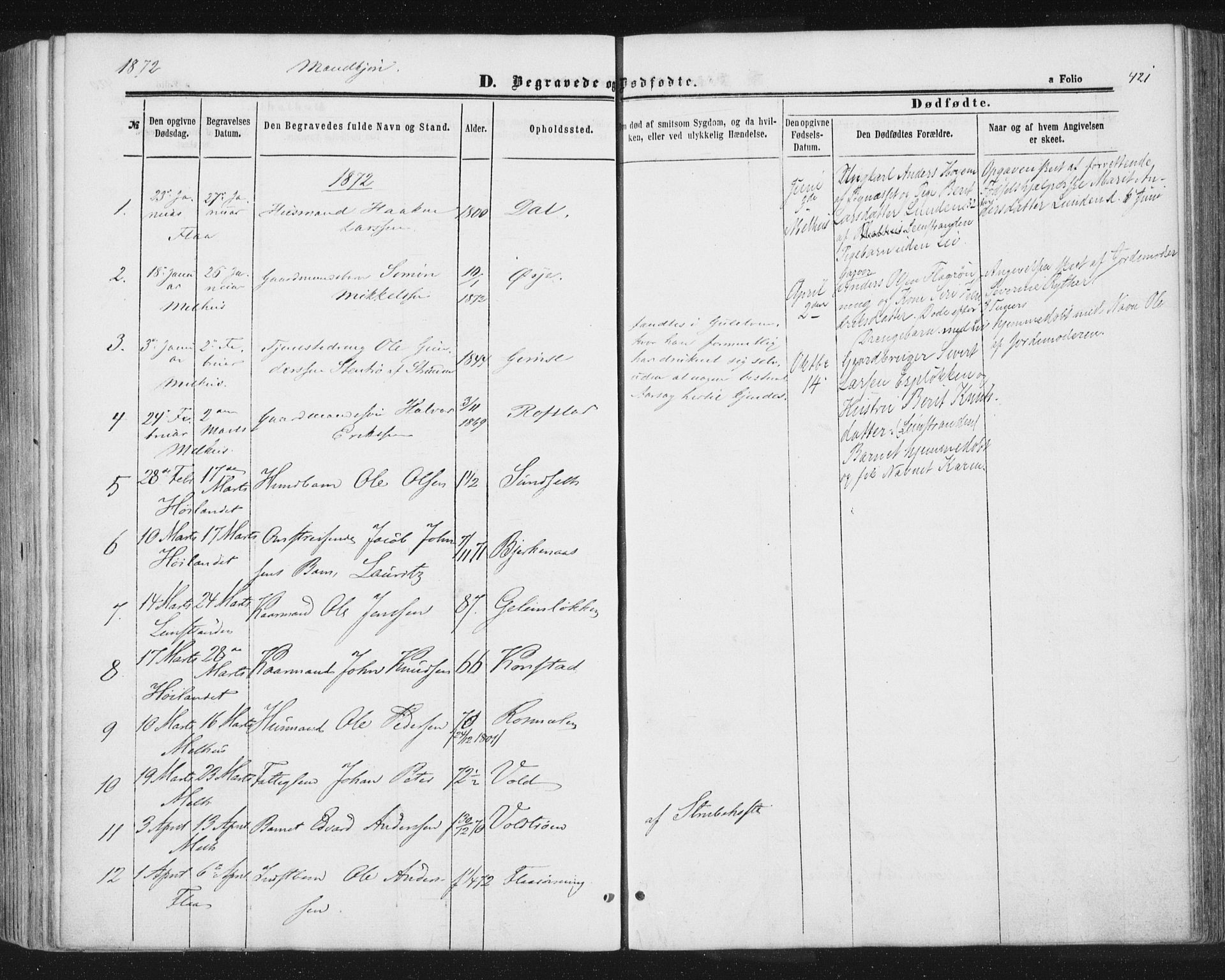 Ministerialprotokoller, klokkerbøker og fødselsregistre - Sør-Trøndelag, SAT/A-1456/691/L1077: Parish register (official) no. 691A09, 1862-1873, p. 421