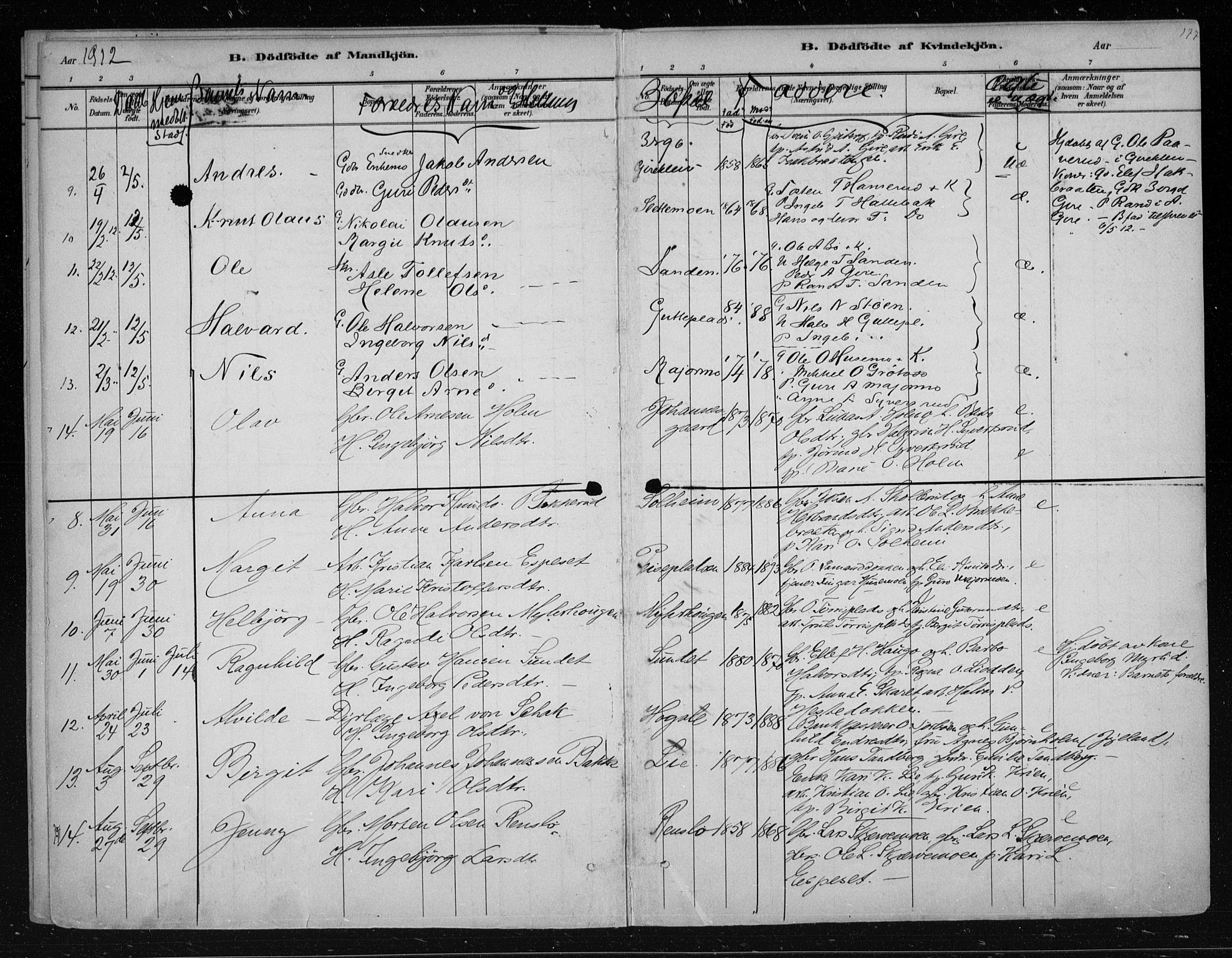 Nes kirkebøker, AV/SAKO-A-236/F/Fa/L0011: Parish register (official) no. 11, 1881-1912, p. 177